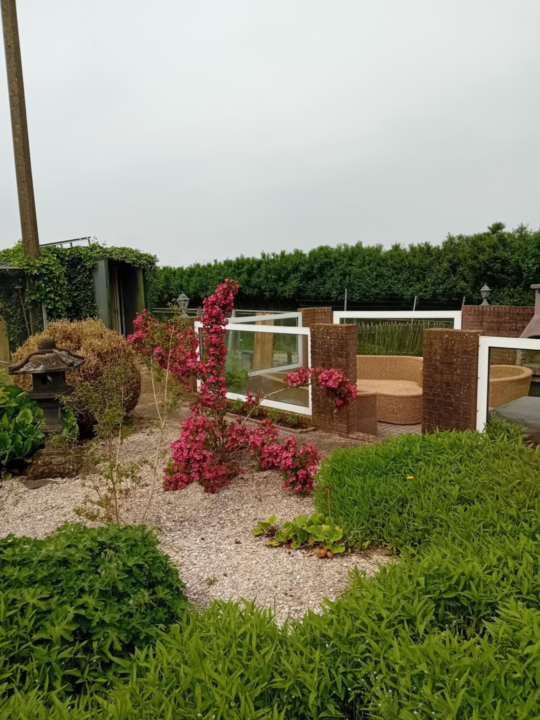 B&B De Kaagse Koe