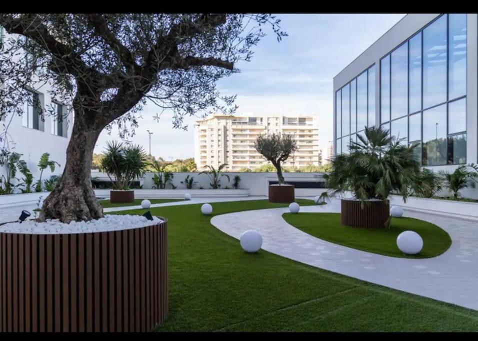 Résidence evolo Tunis view 2