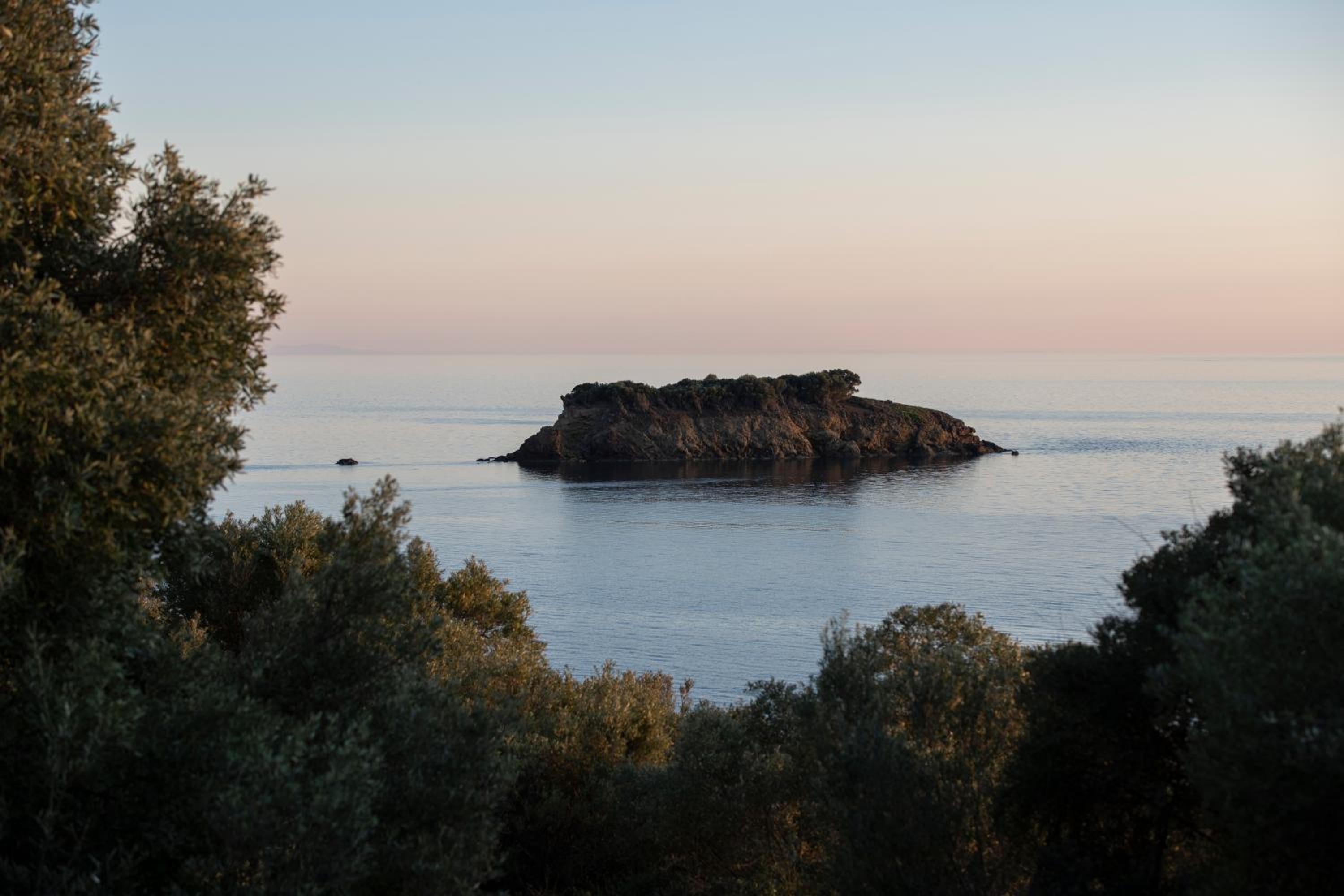The Port