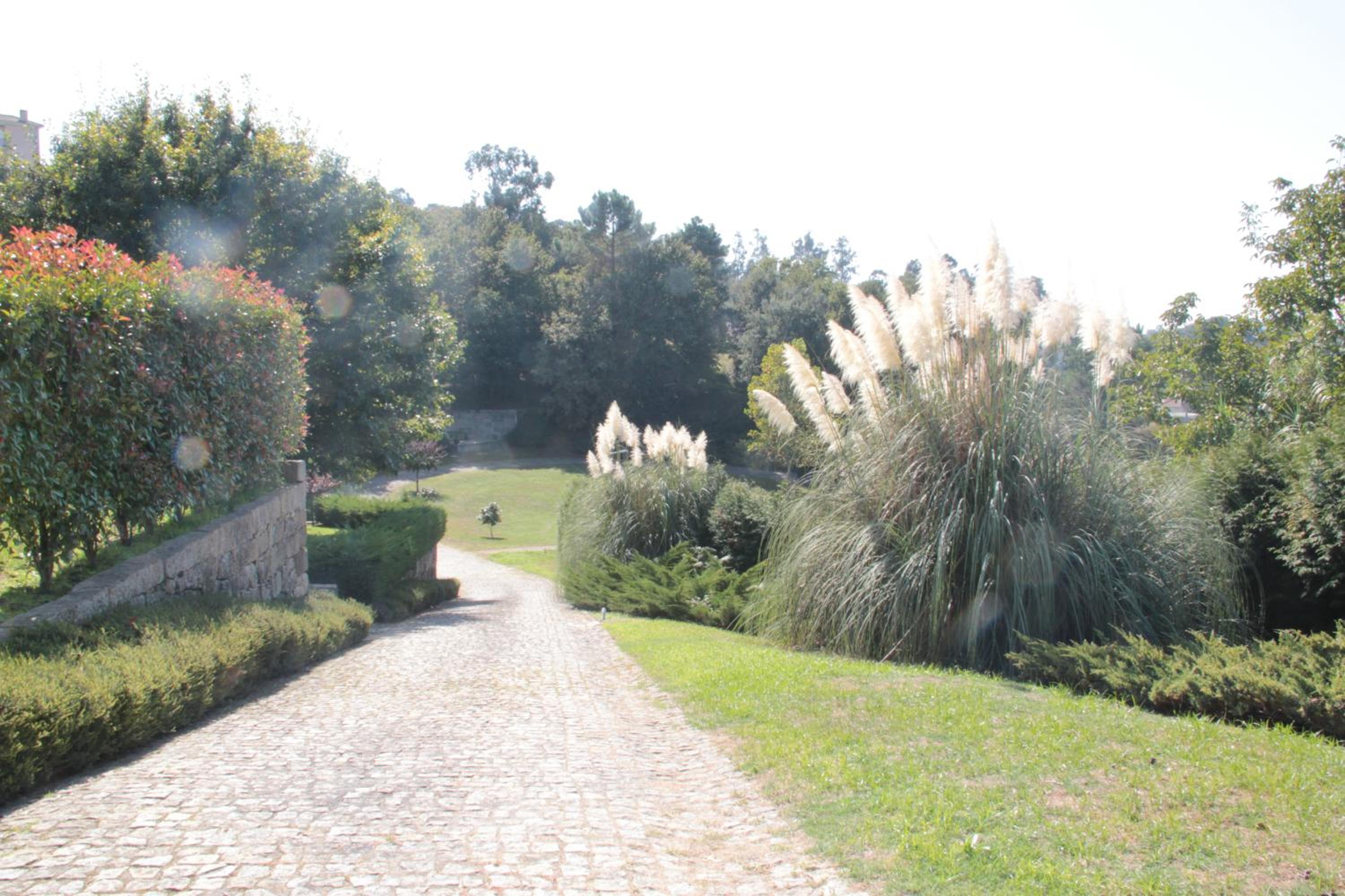 PORTO - Penafiel - QUINTA DE SANTIAGO COUNTRY HOUSE, photo 23