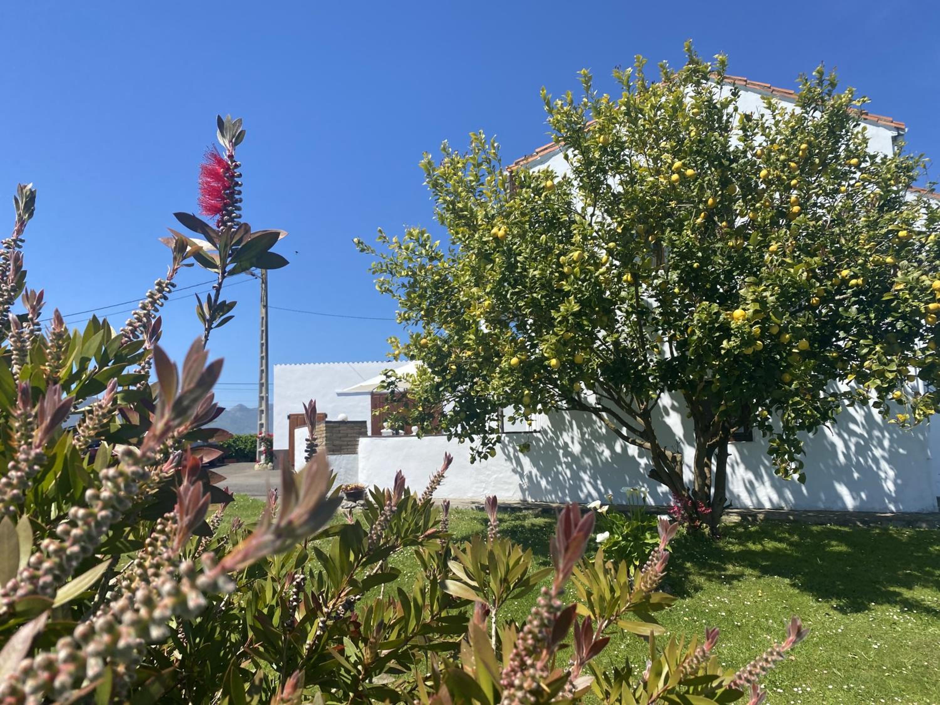 Finca Robejones VV-511-AS