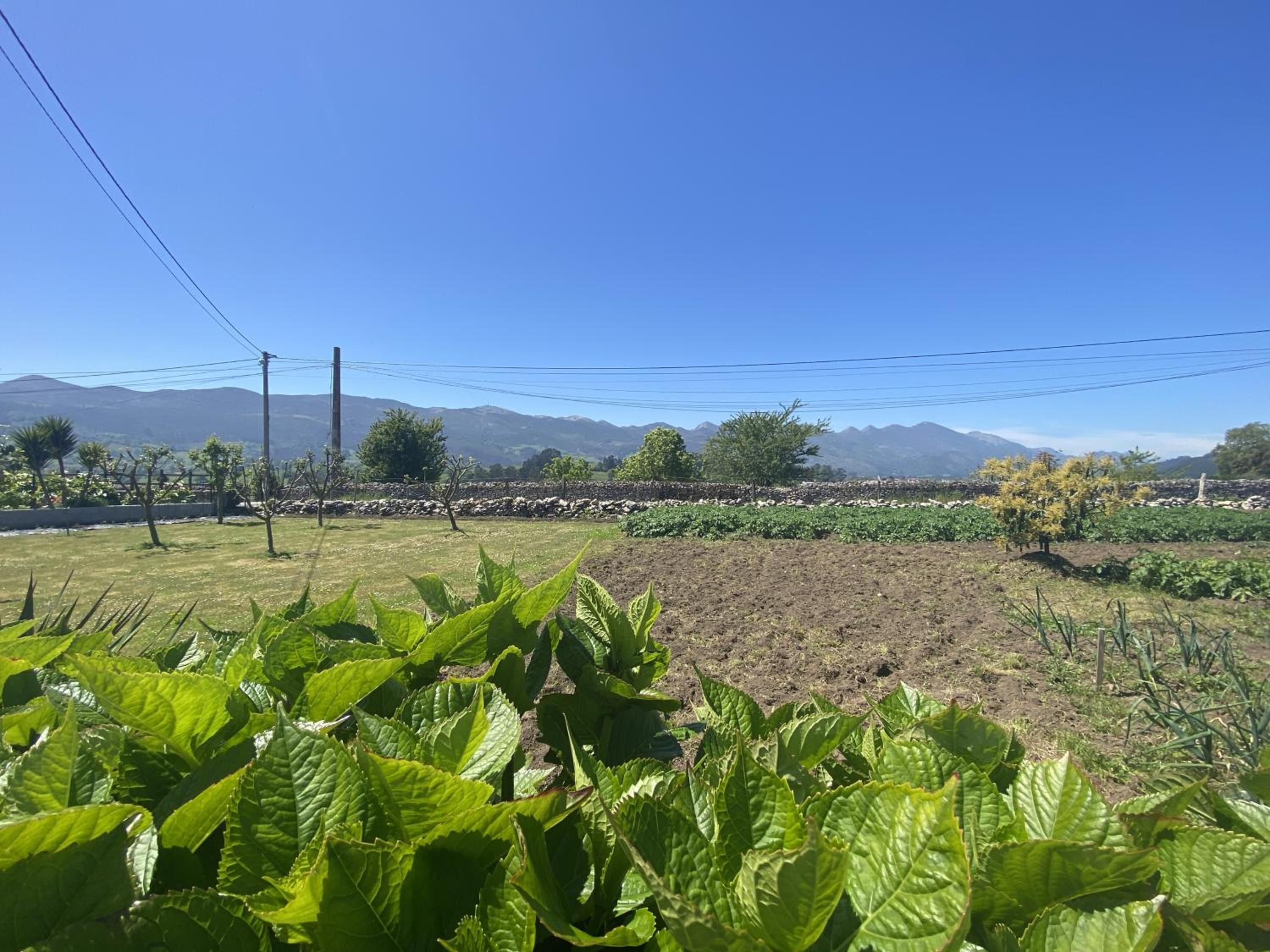 Finca Robejones VV-511-AS