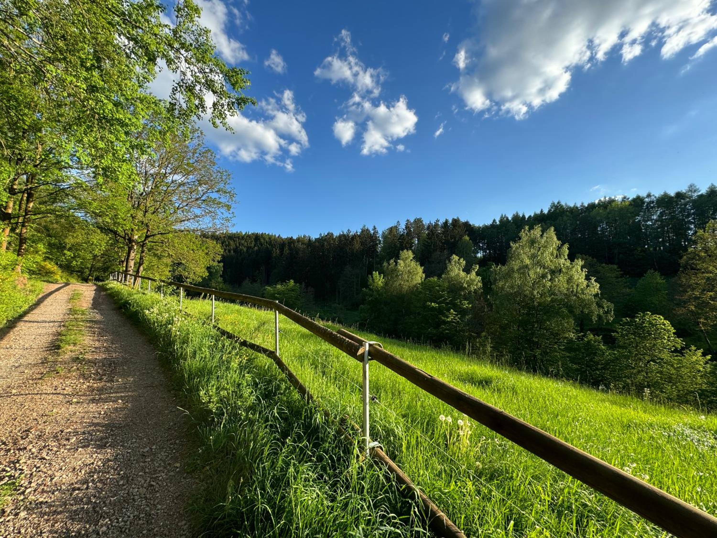 Auszeit im Wald - mit Schwimmbad!
