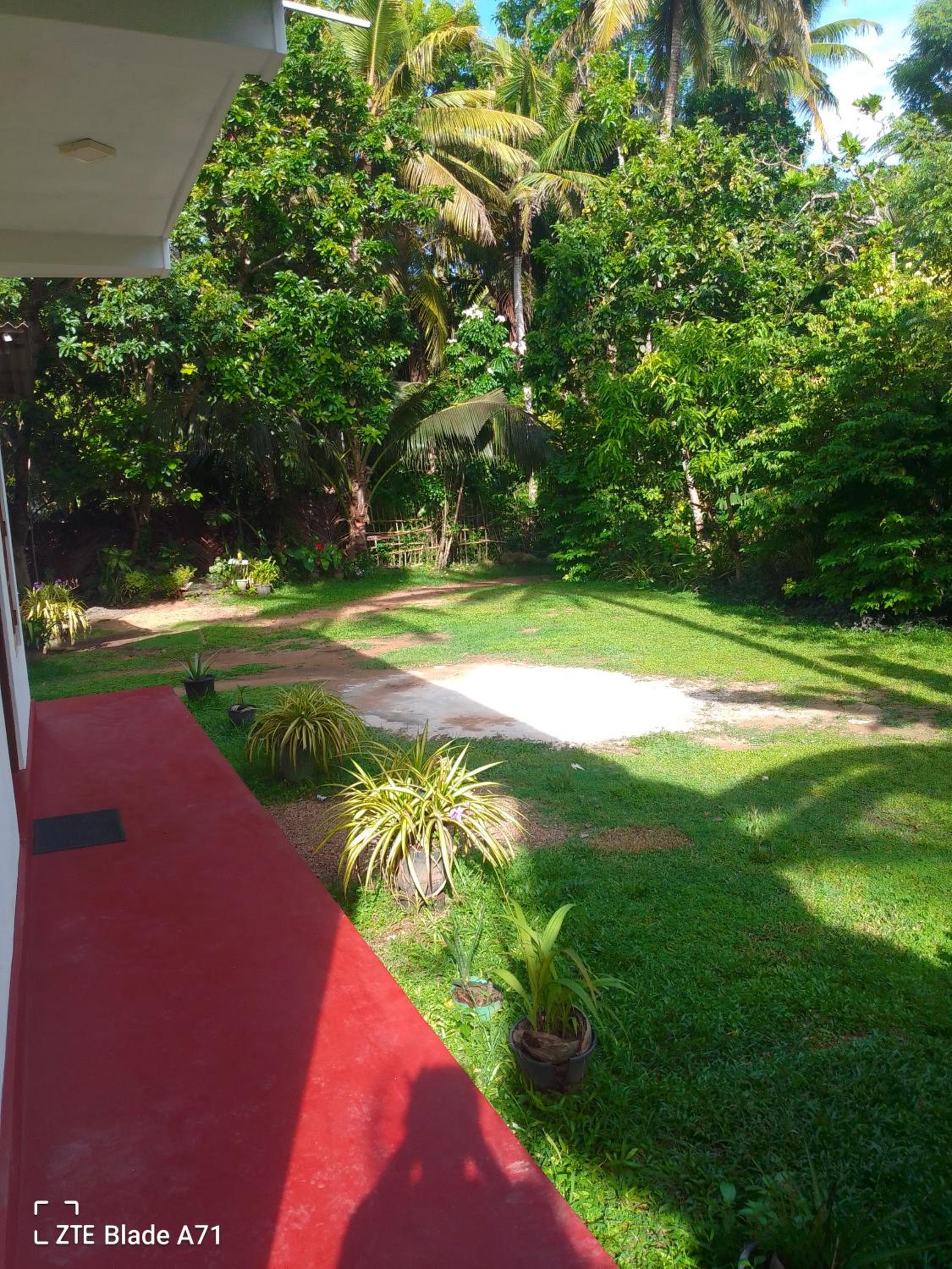 Sweet Home
