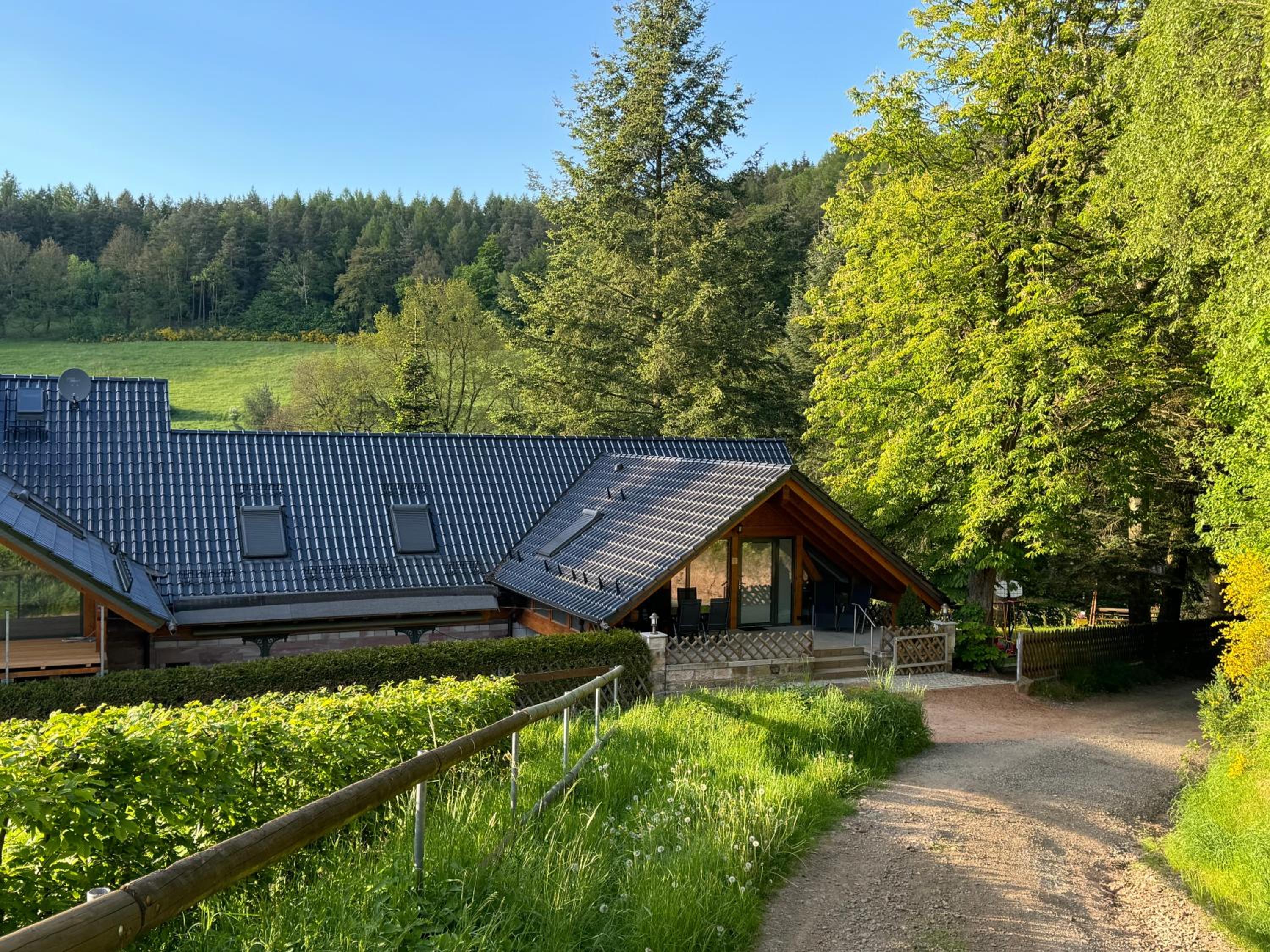 Auszeit im Wald - mit Schwimmbad!