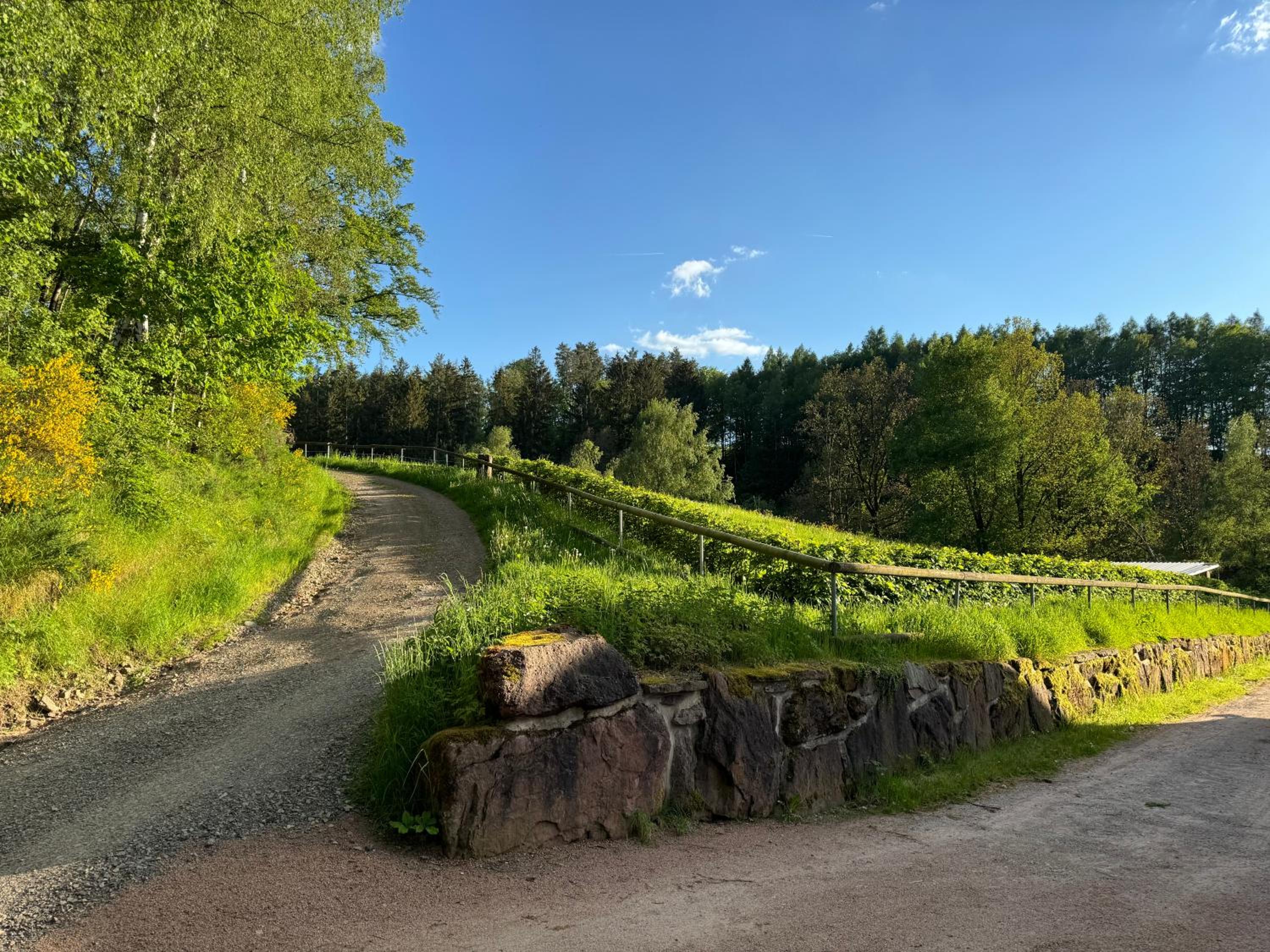 Auszeit im Wald - mit Schwimmbad!