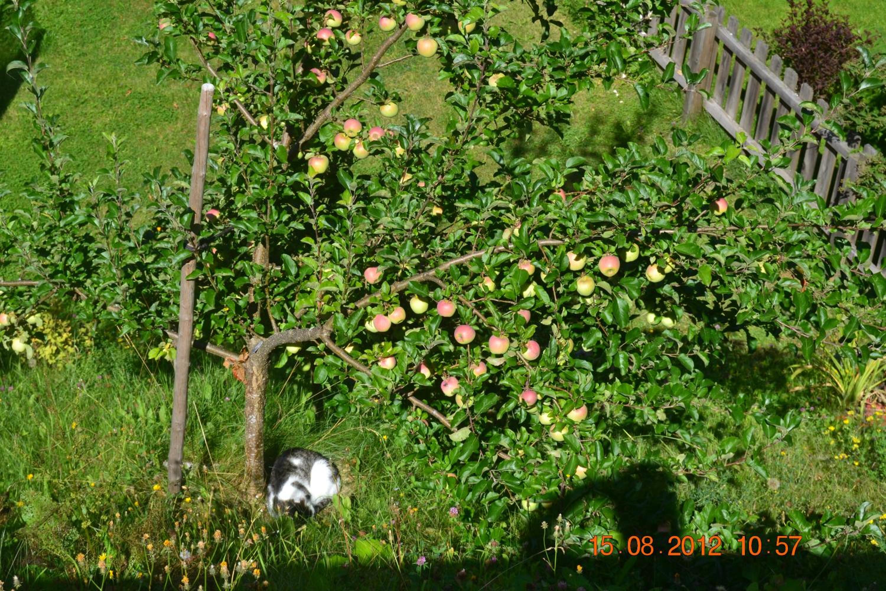 Appartement Ewald Siller