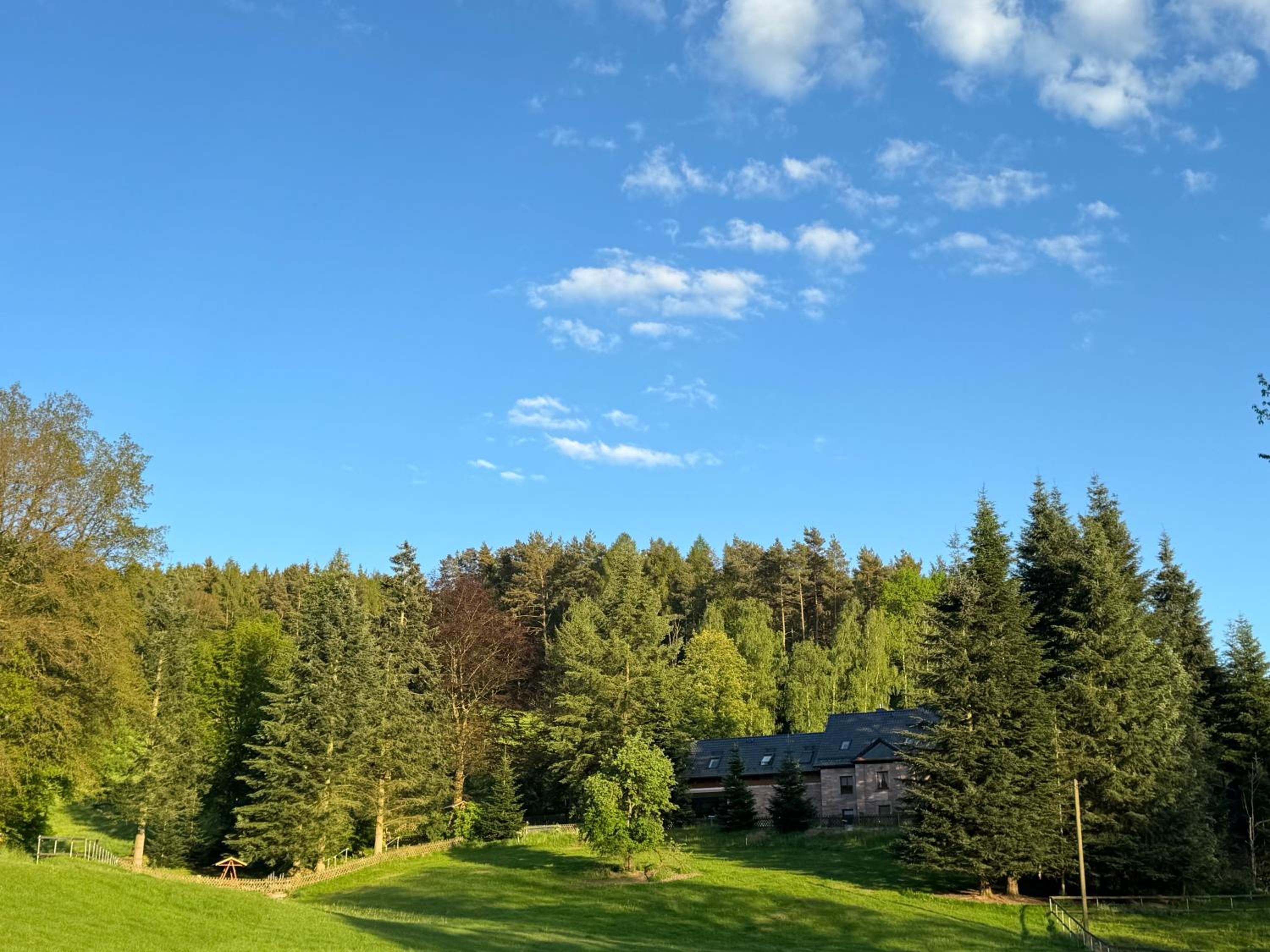 Apartment im Wald - mit Schwimmbad! - Property Image 16