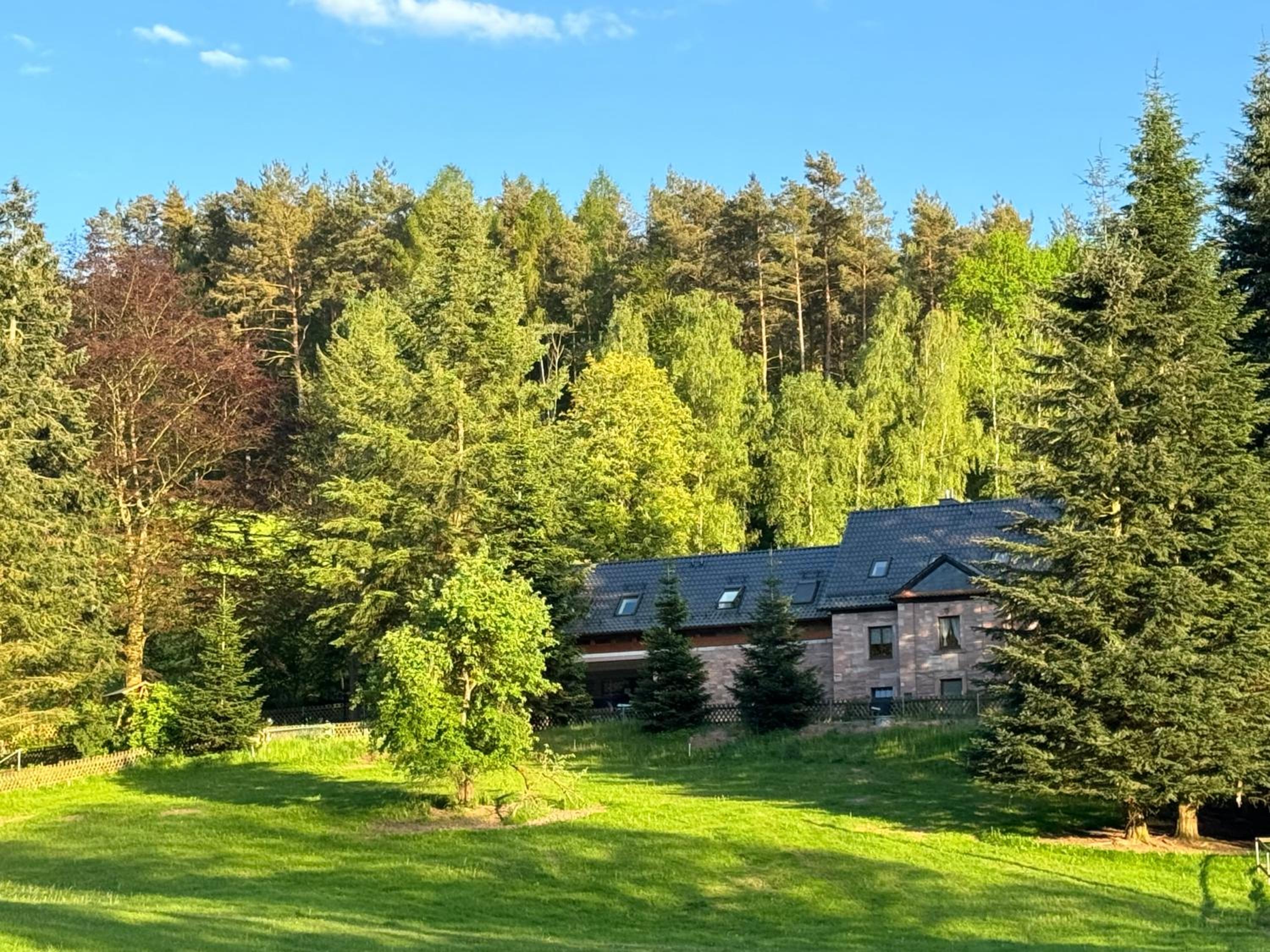 Apartment im Wald - mit Schwimmbad! - Property Image 15