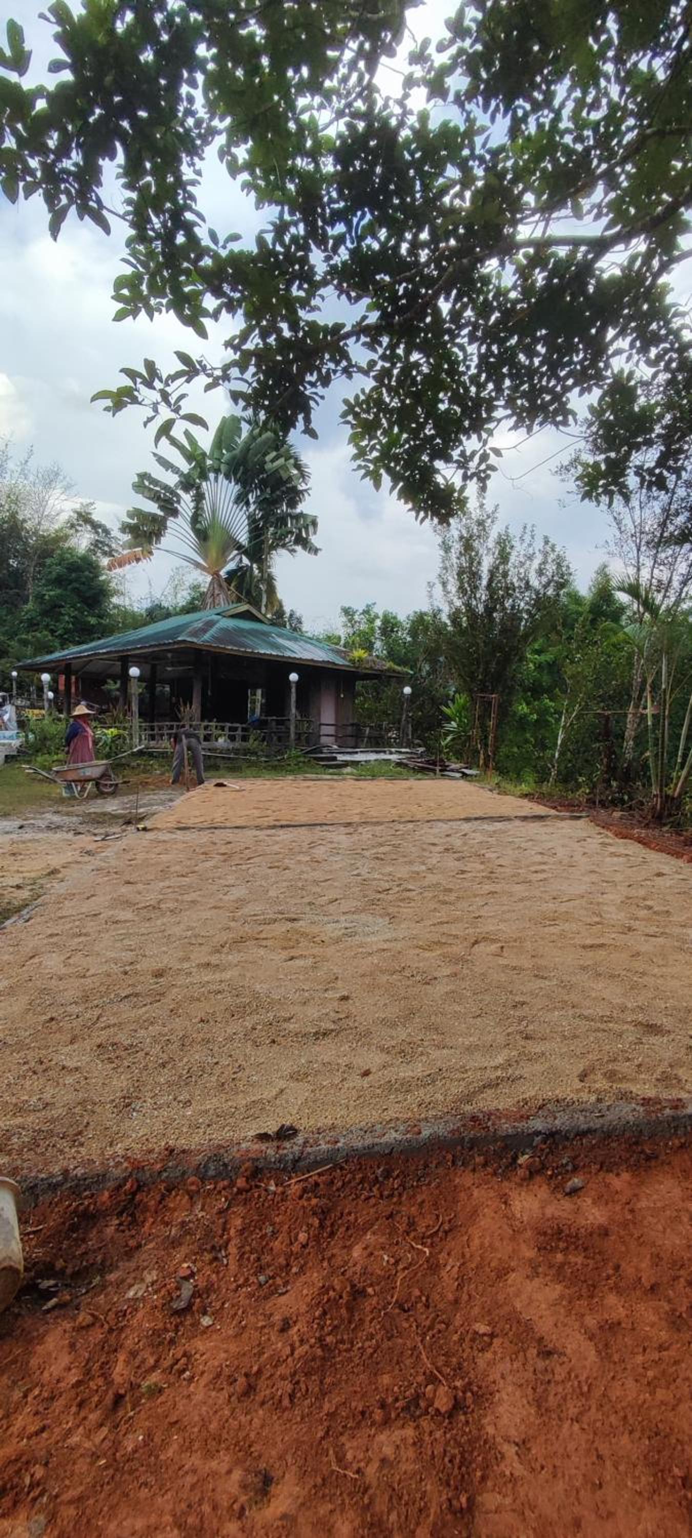 DPuncakLui Campsite