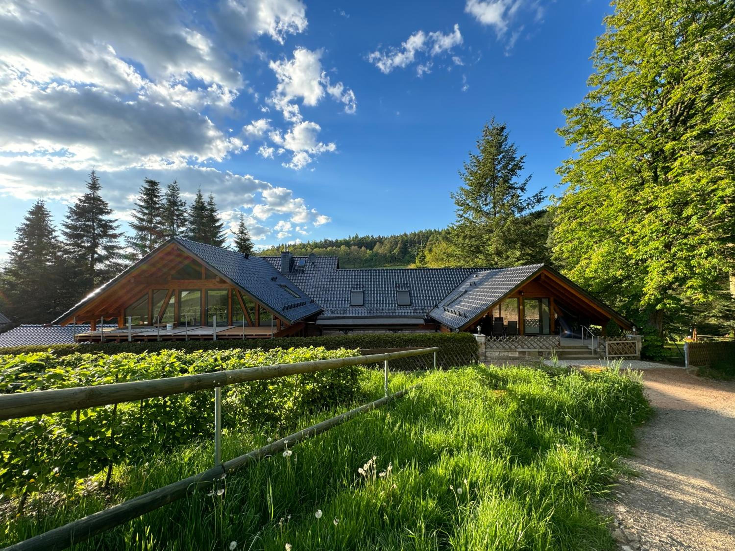 Apartment im Wald - mit Schwimmbad! - Property Image 13