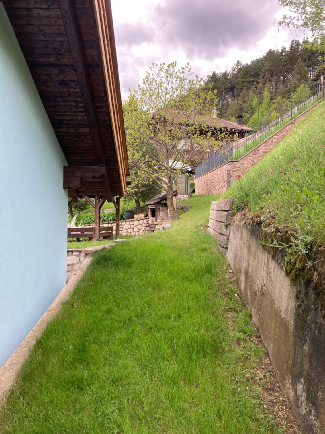 CASA BAMBA
