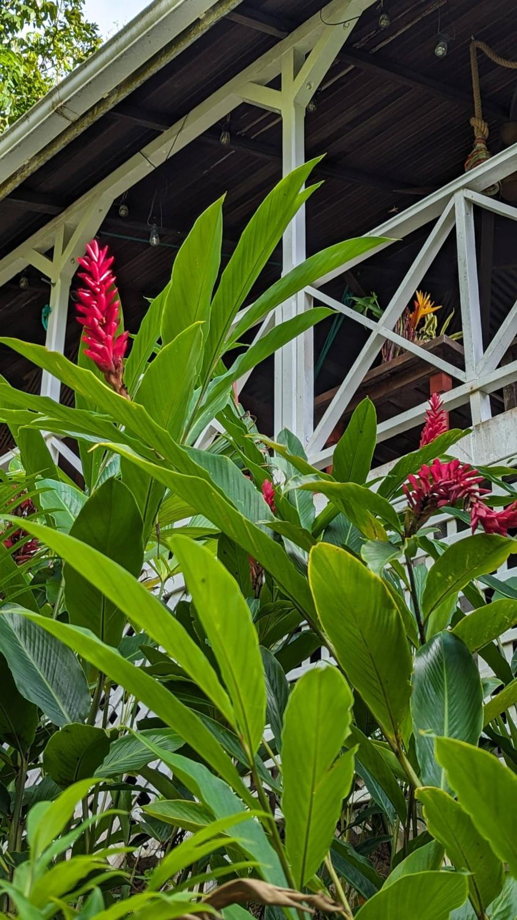 Ecolodges Karet