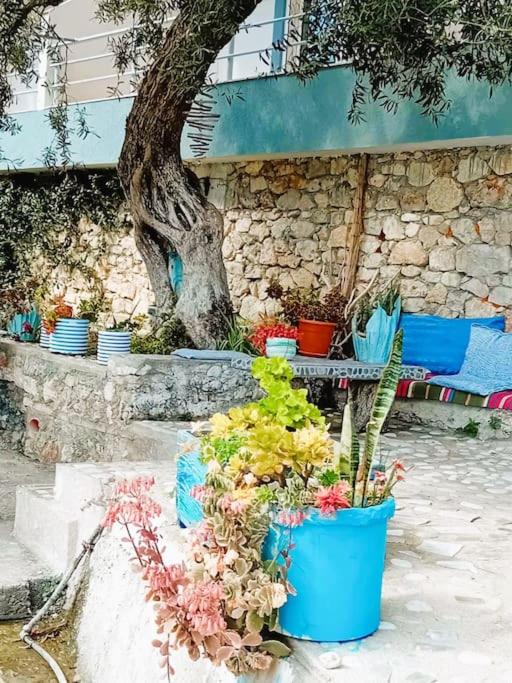 Sea Side Serenity 6 photo 5