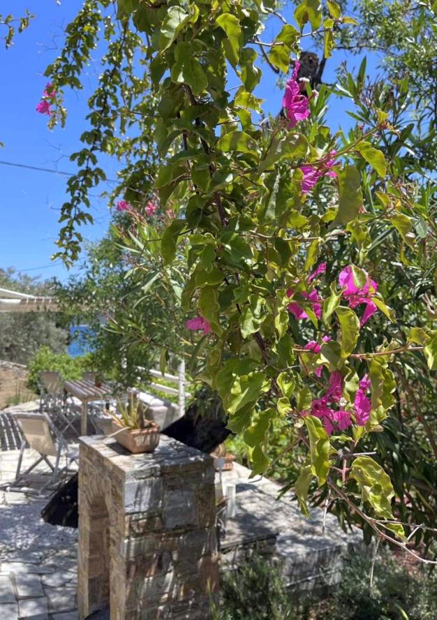 Lithea Villas and Studios by the Sea