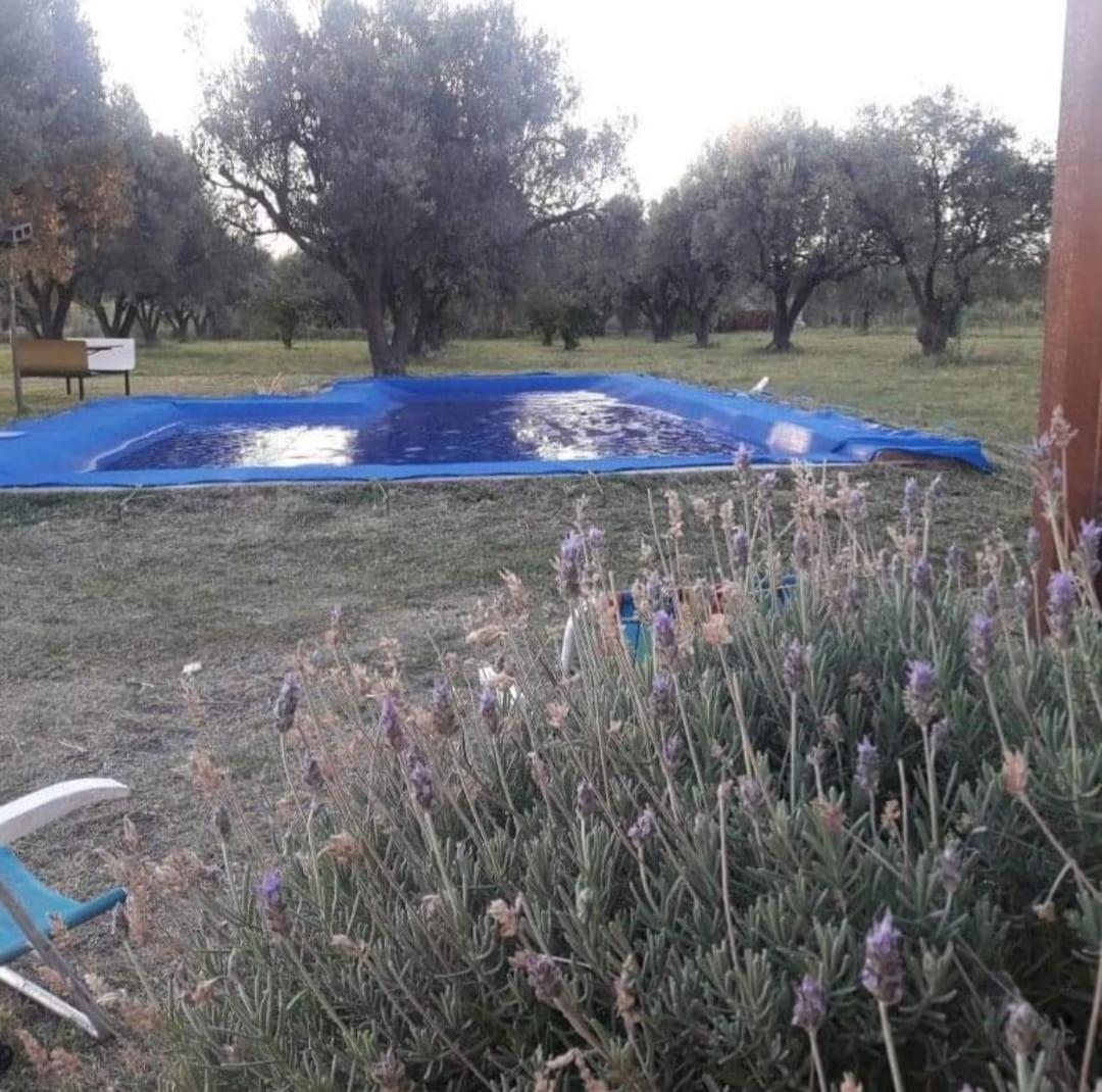 Cabaña de Pez