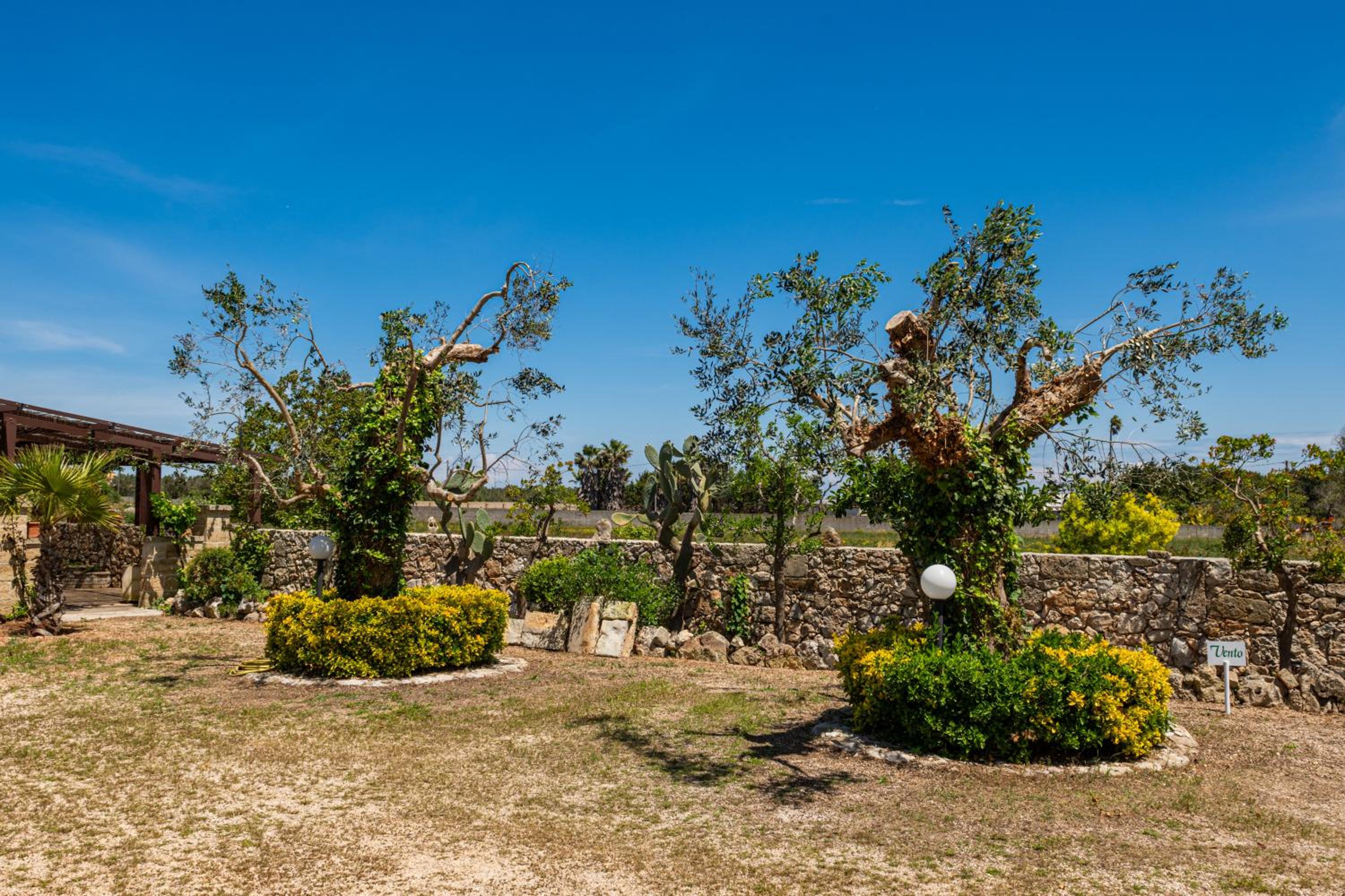 ANGELI NEL SALENTO COUNTRY HOUSE view 4