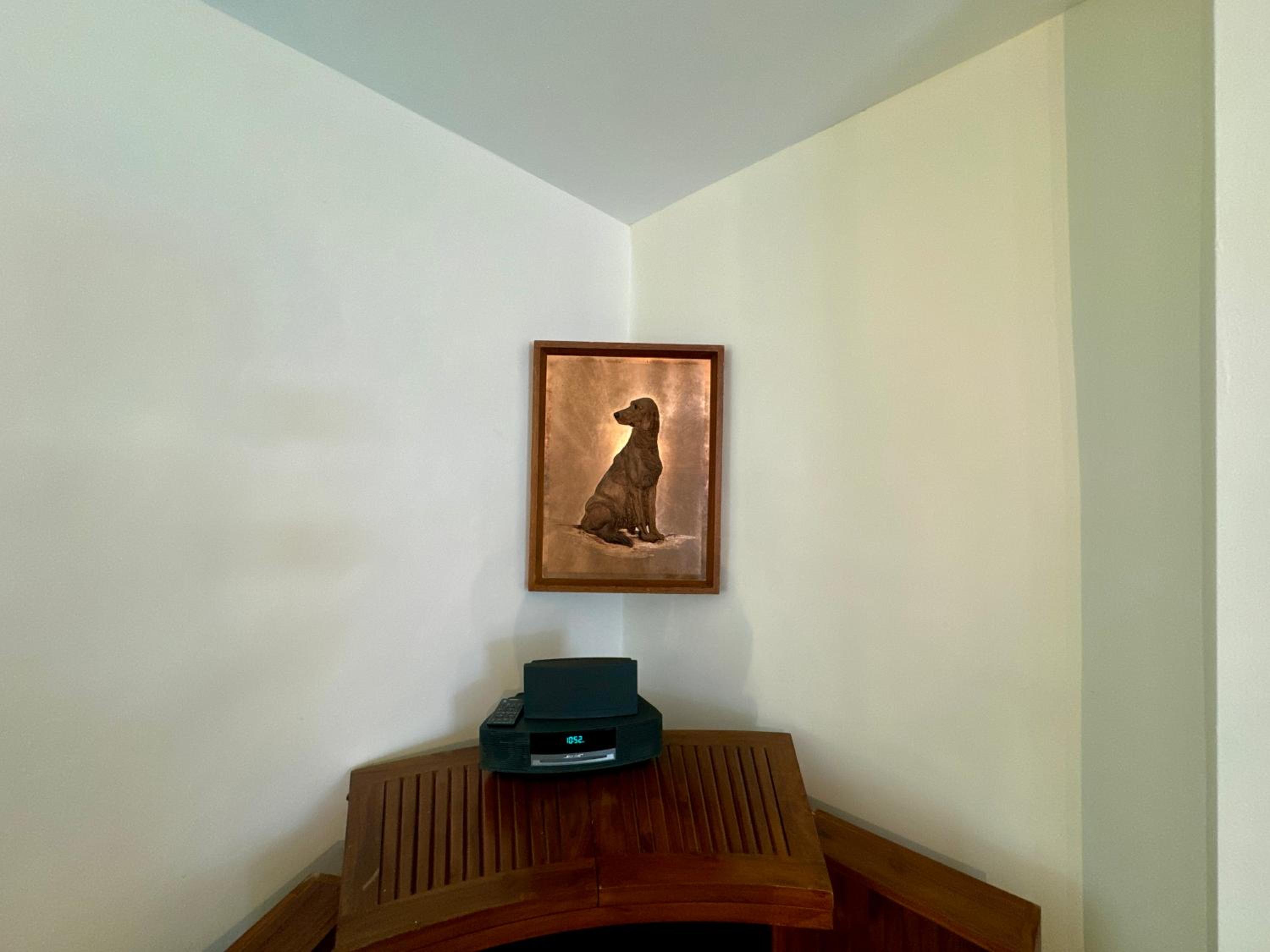 Photo 49