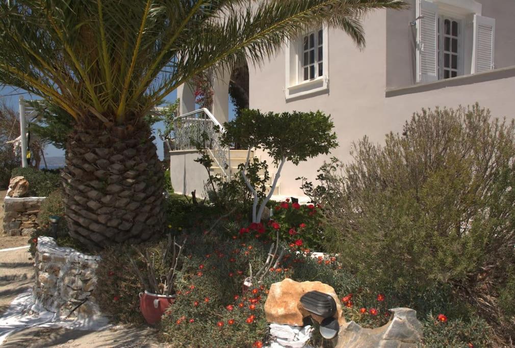 Photo 52