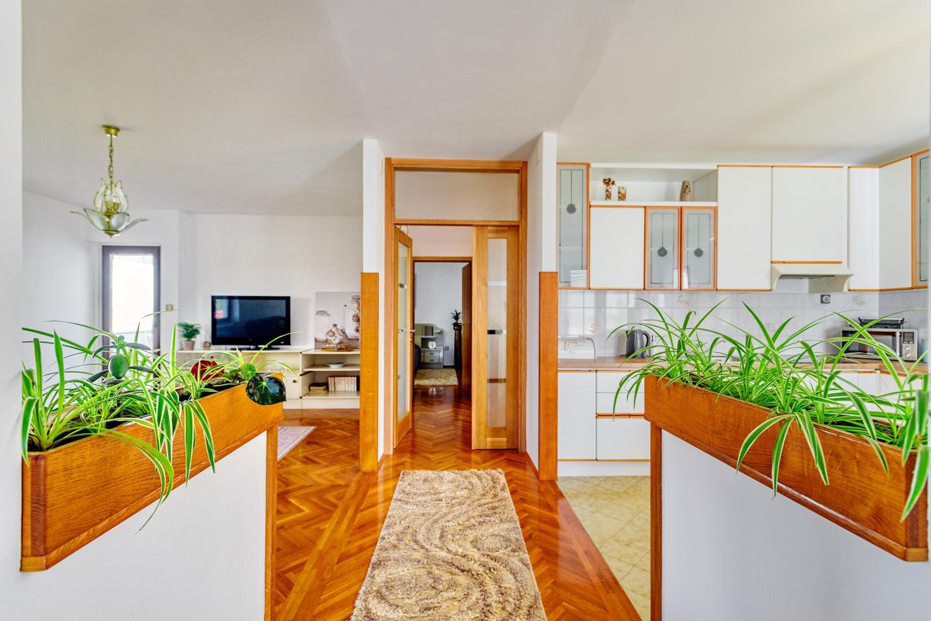 Holiday apartment Kali - Ugljan island
