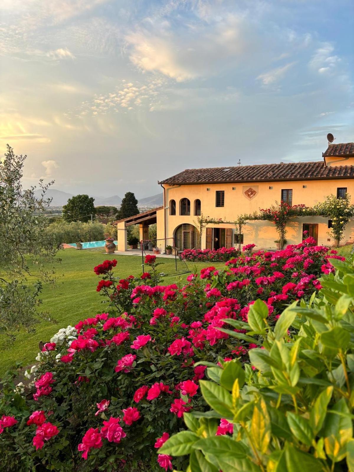 Podere agli Arrighi photo 2