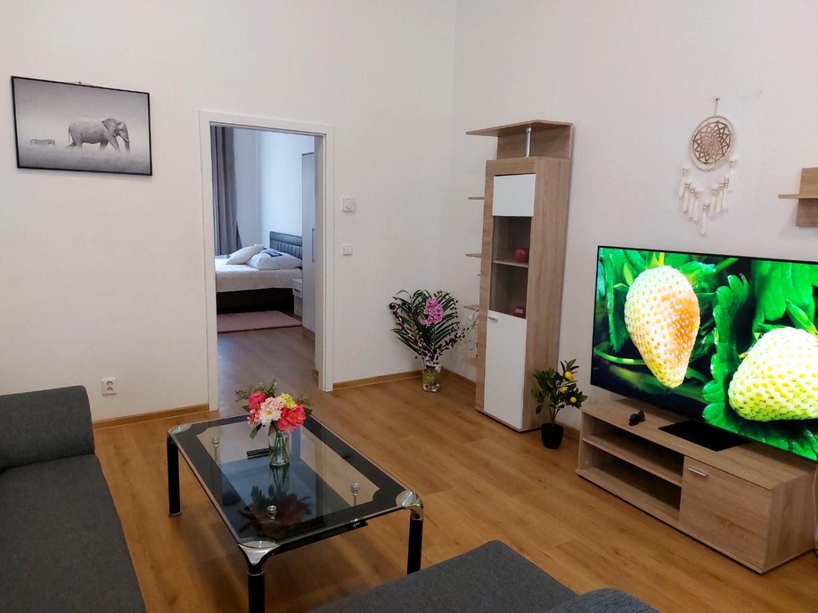 ČSA 3 Central City Apartment Hradec Králové