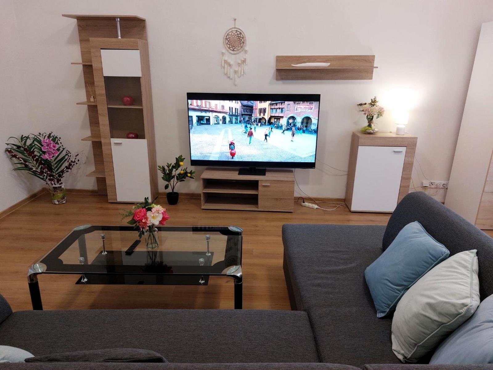 ČSA 3 Central City Apartment Hradec Králové