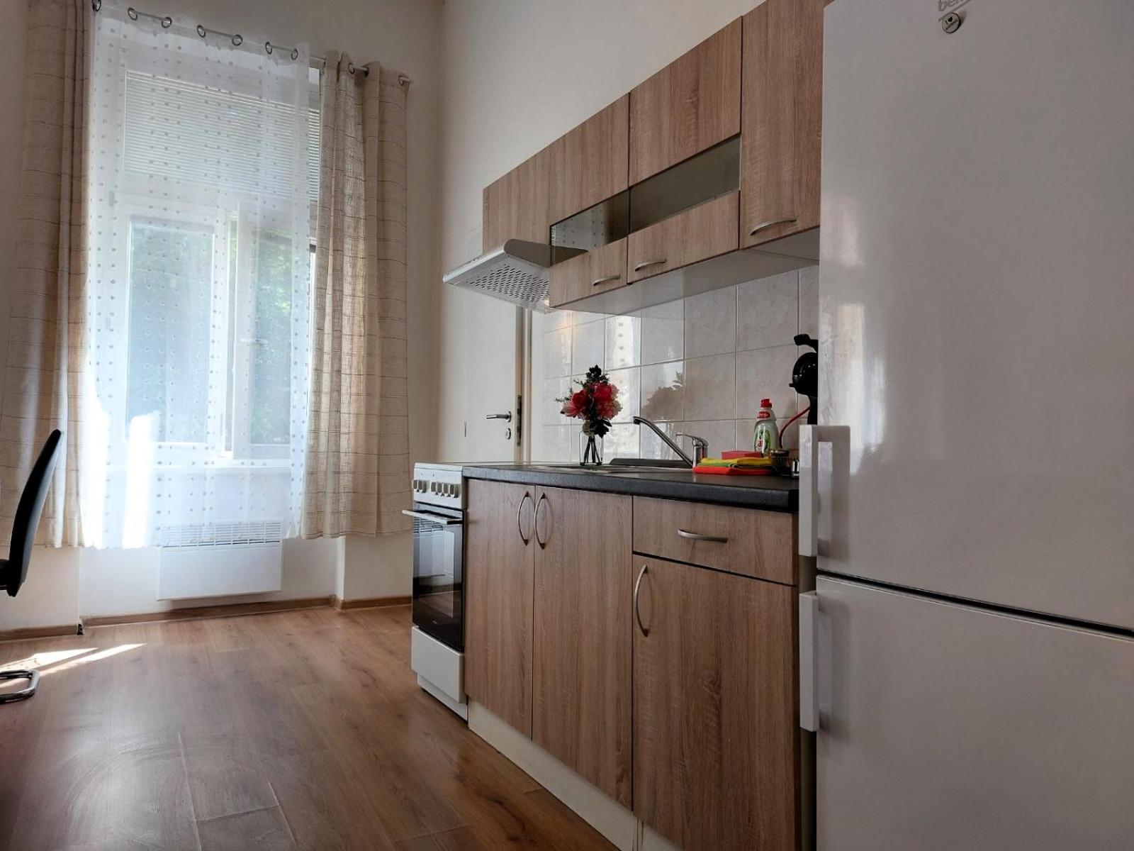 ČSA 3 Central City Apartment Hradec Králové