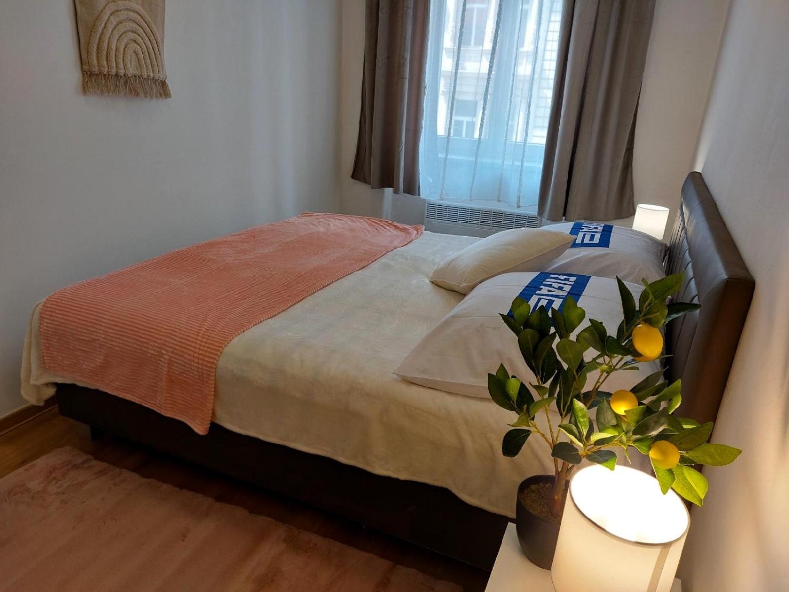 ČSA 3 Central City Apartment Hradec Králové