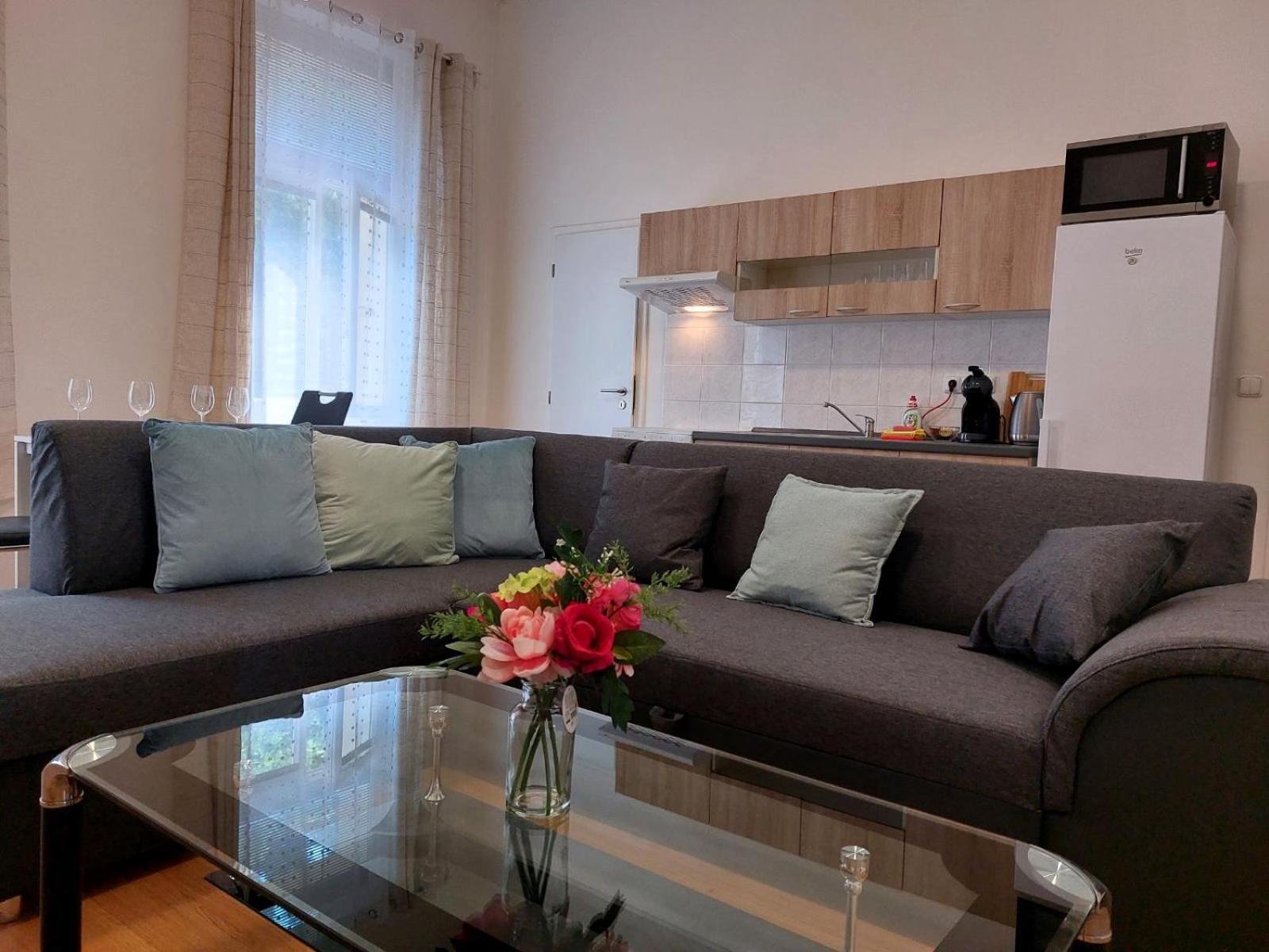 ČSA 3 Central City Apartment Hradec Králové
