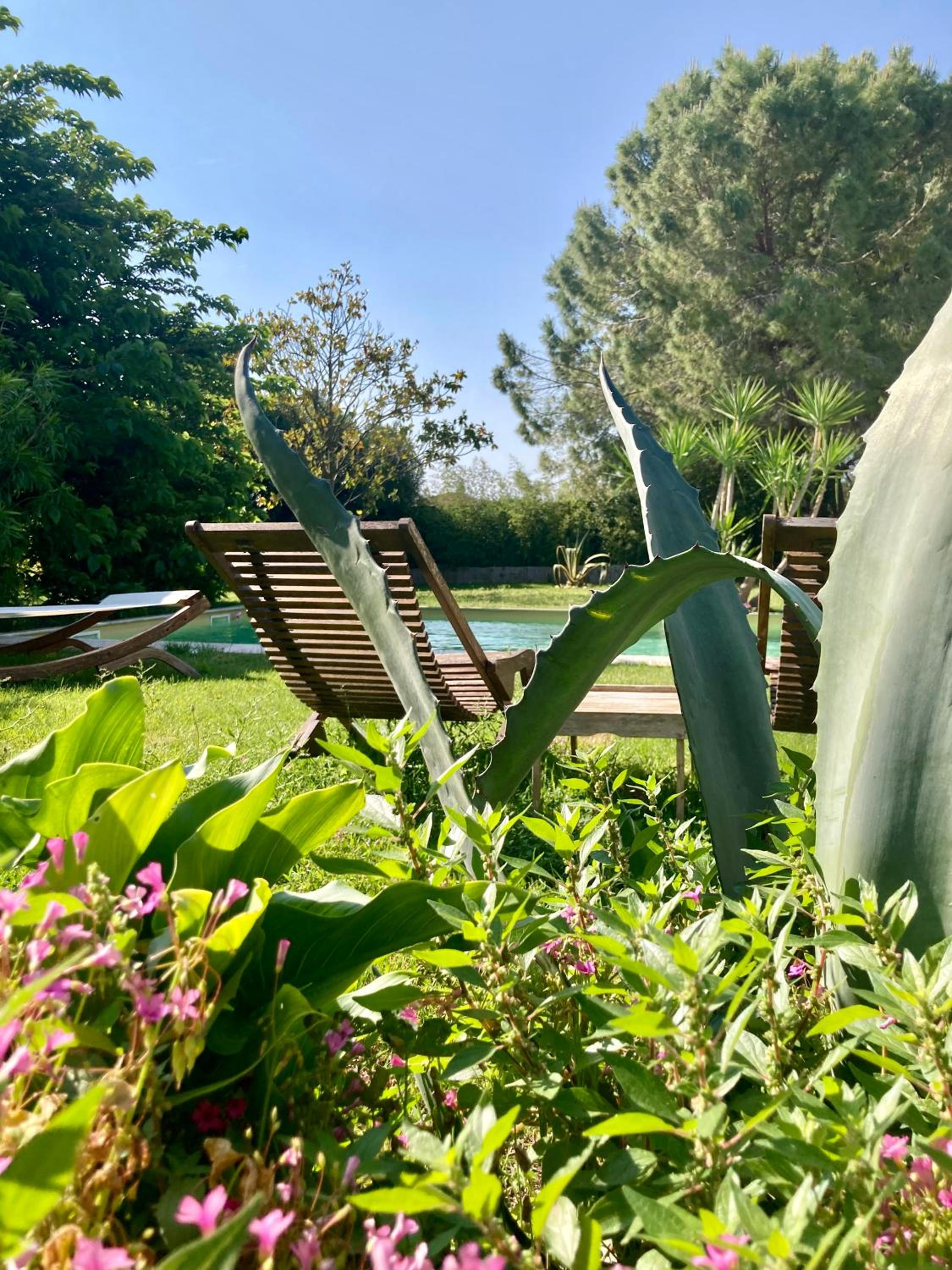 Le Patio, chambres d hôtes pour adultes en Camargue, possibilité de naturisme à la piscine,, photo 10