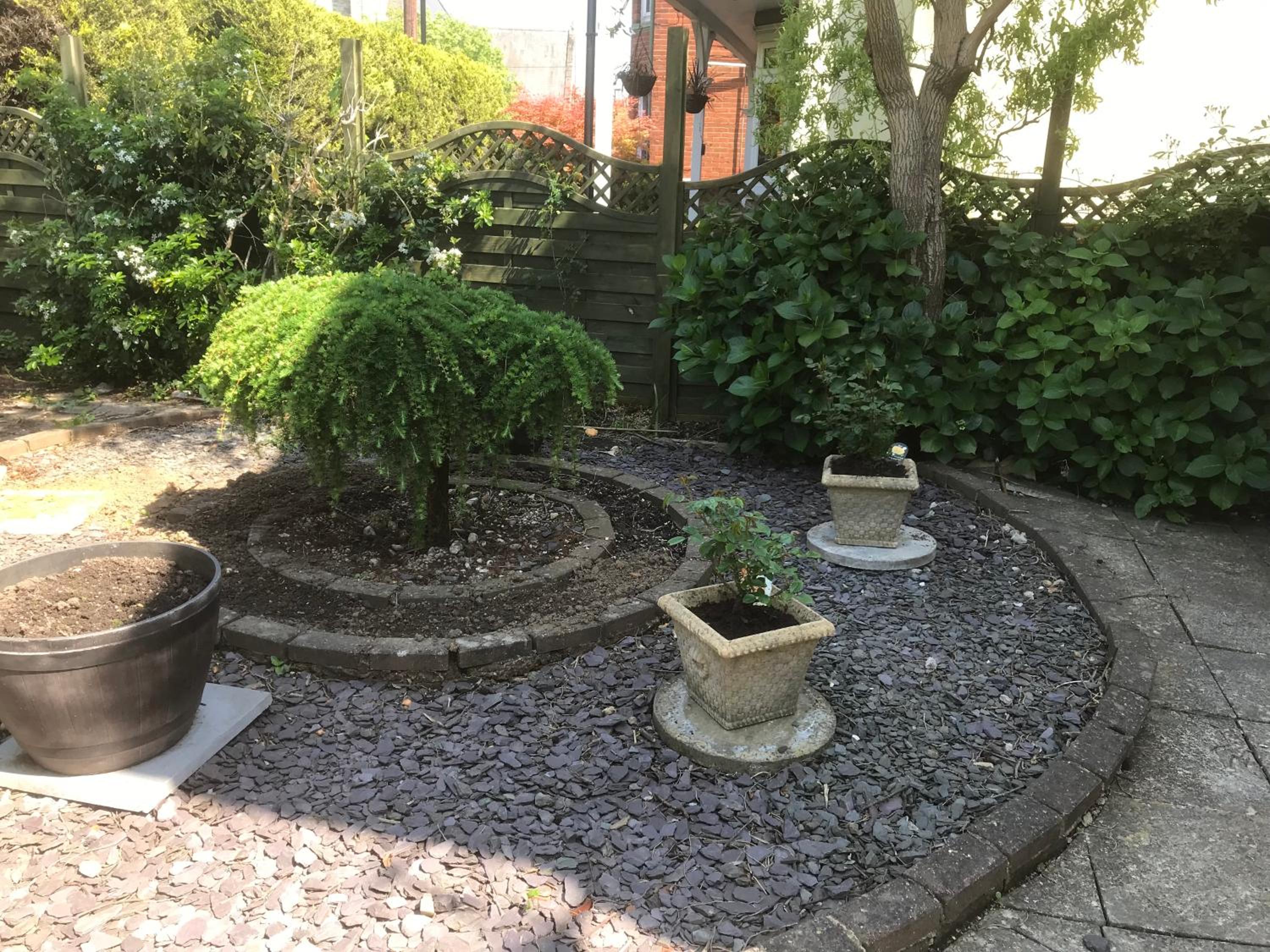 Photo 20