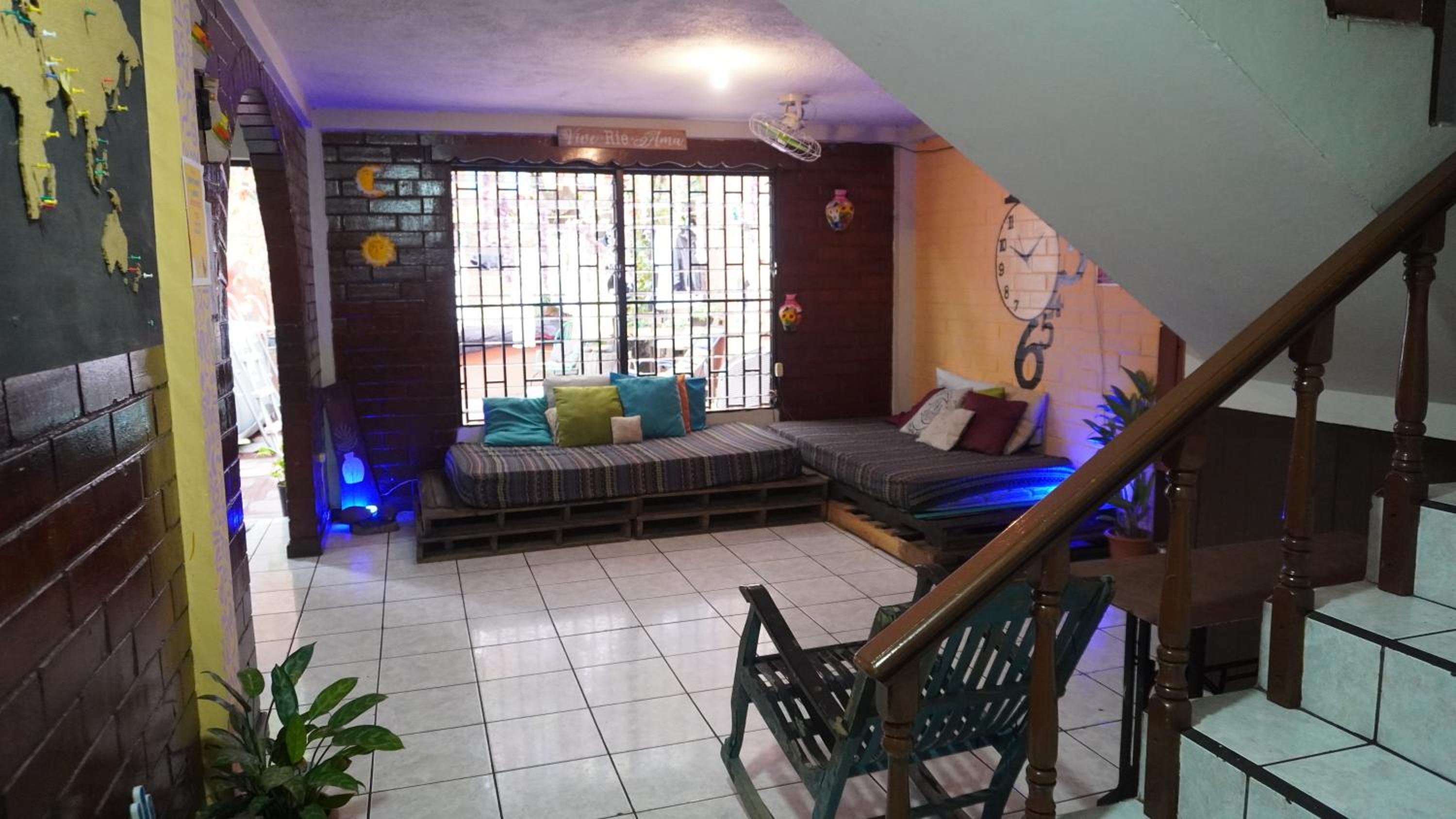 Pool House Hostel view 5