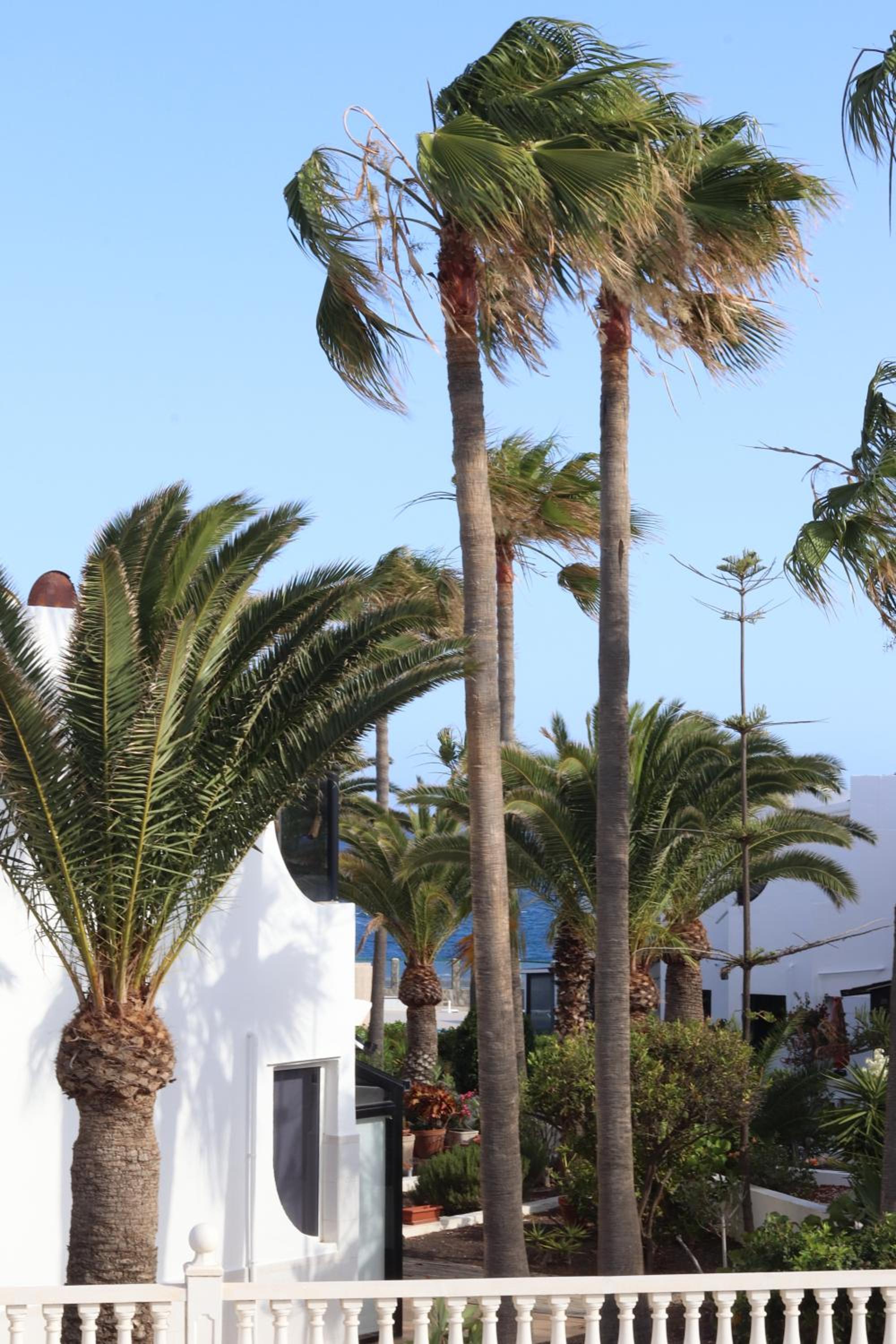 Apartamento vista parcial mar en Tenerife Sur