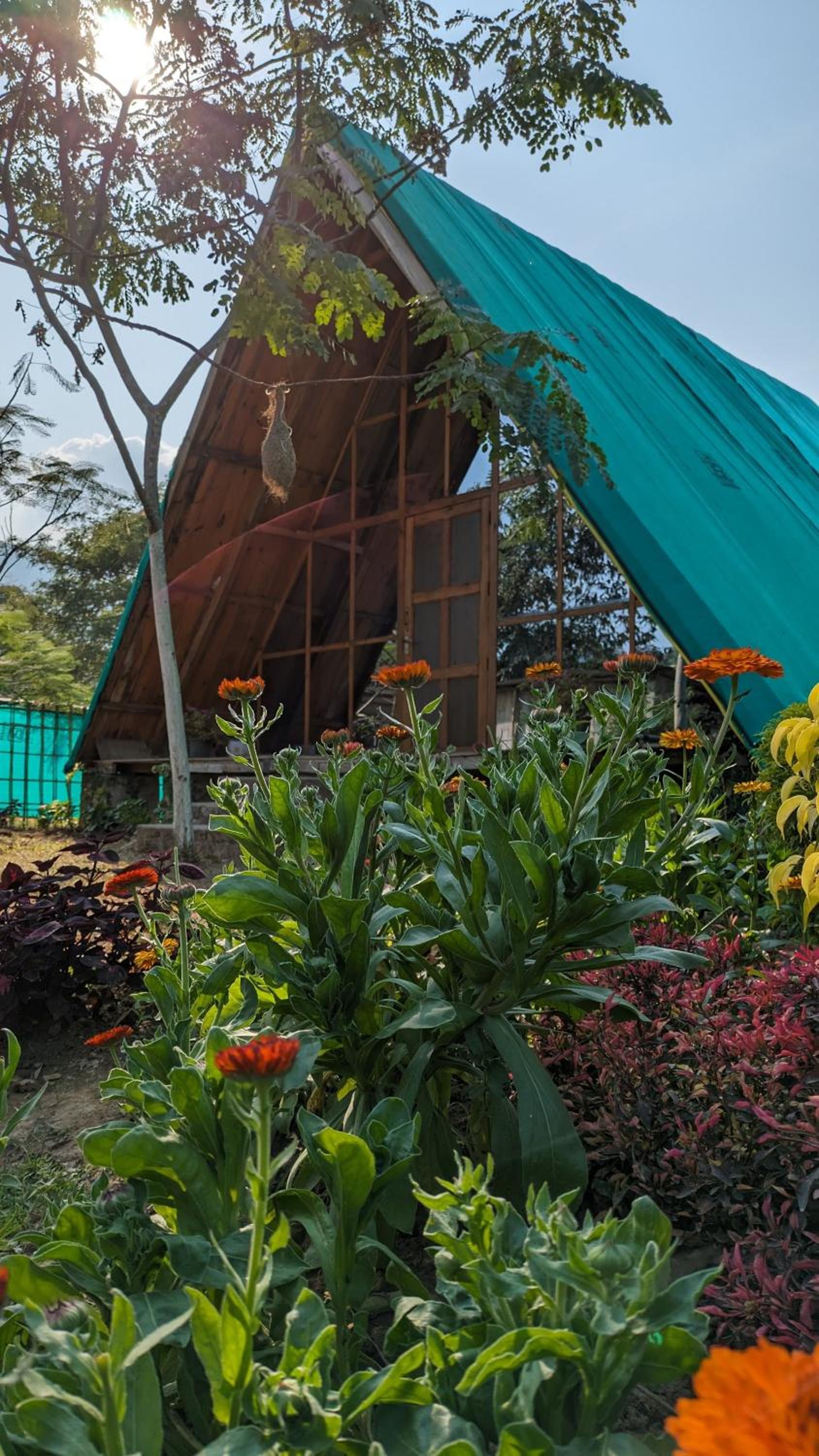 Tushita Ban - Kaziranga
