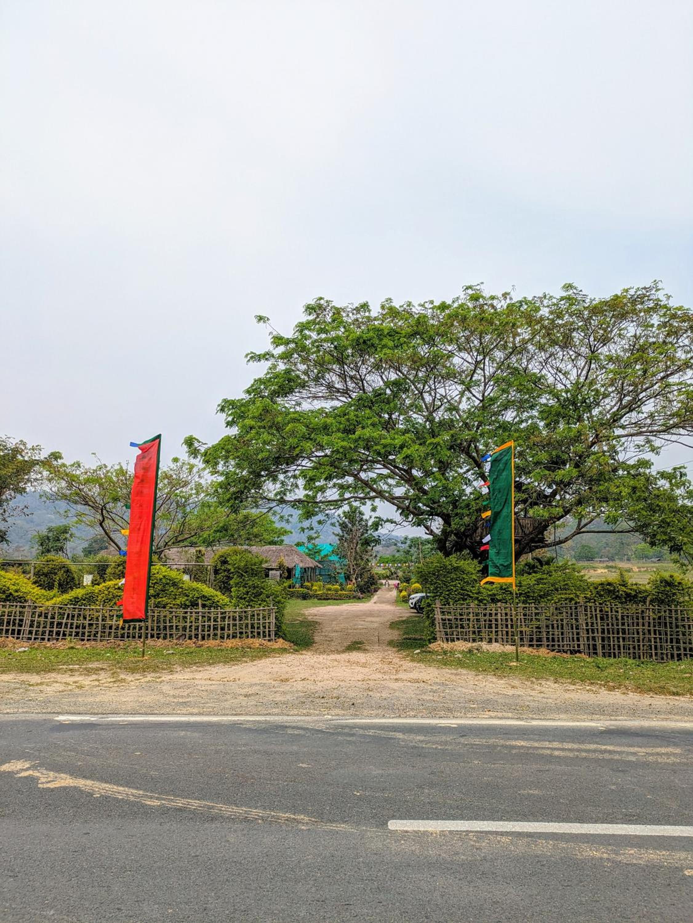 Tushita Ban - Kaziranga