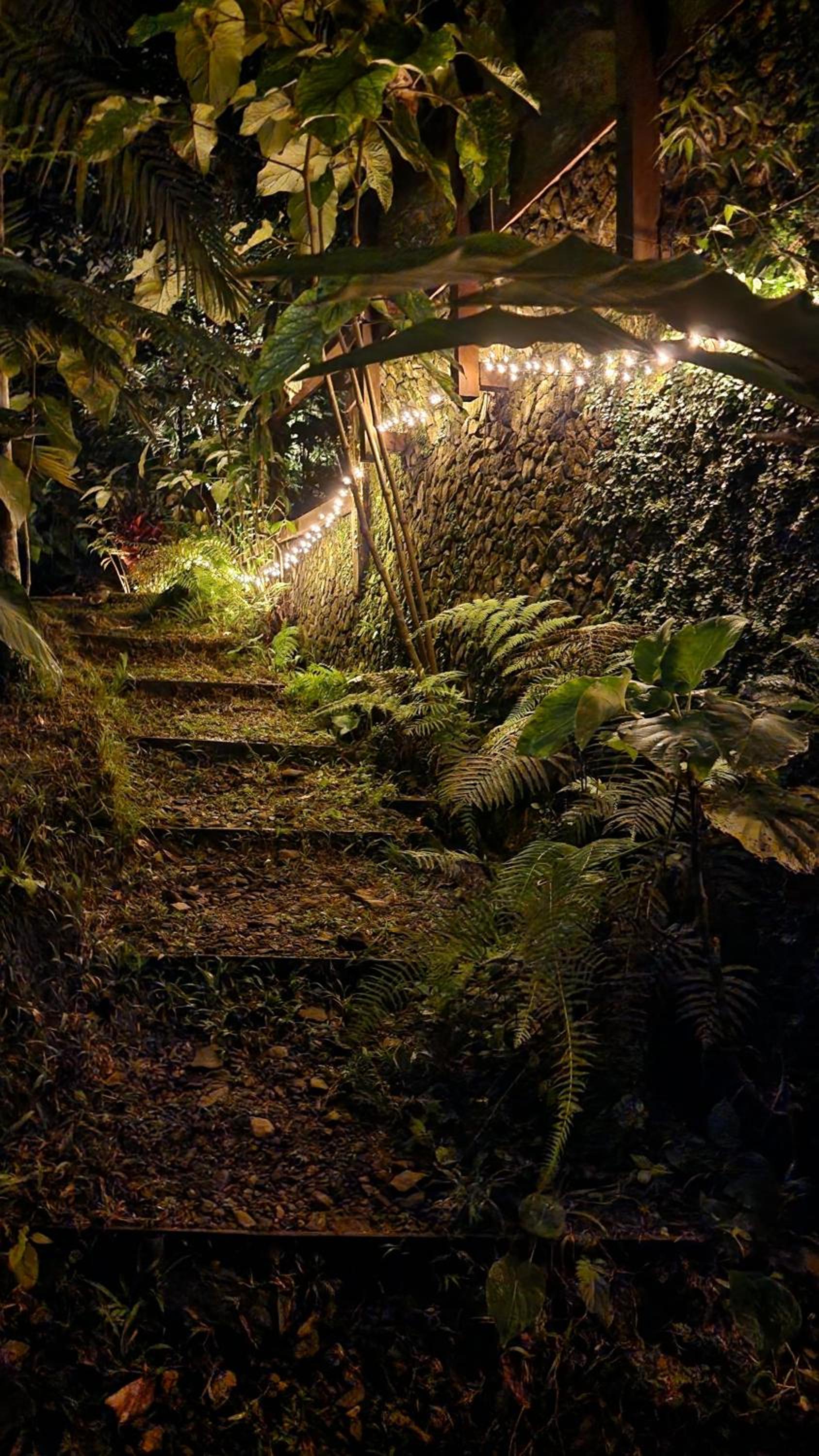 Casa Kiwi Jungle Lodge
