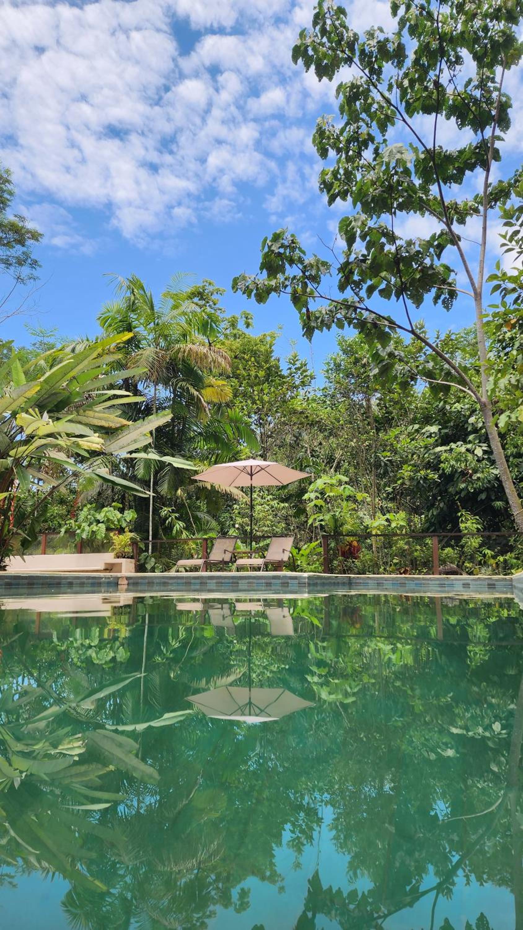Casa Kiwi Jungle Lodge