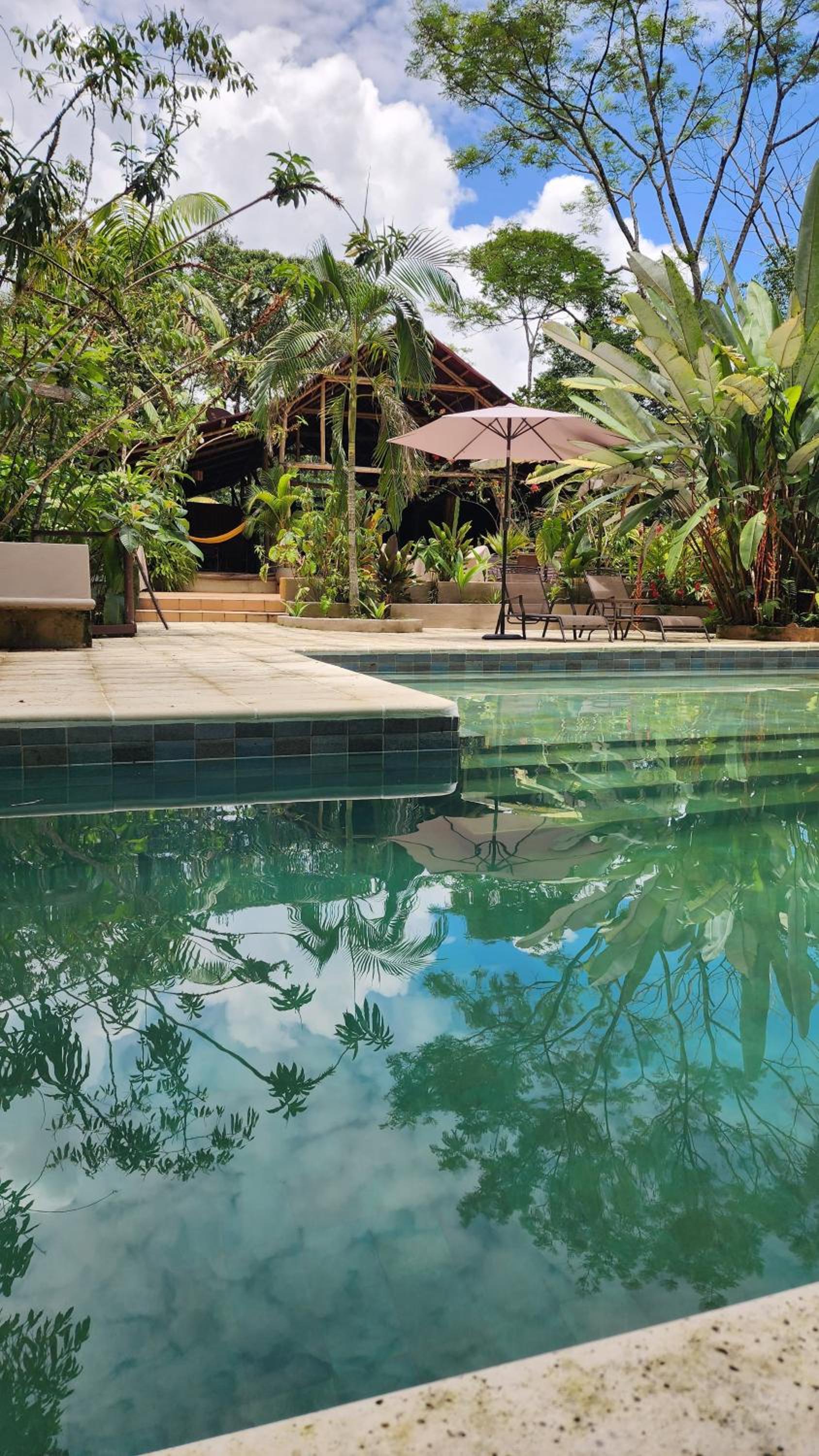 Casa Kiwi Jungle Lodge