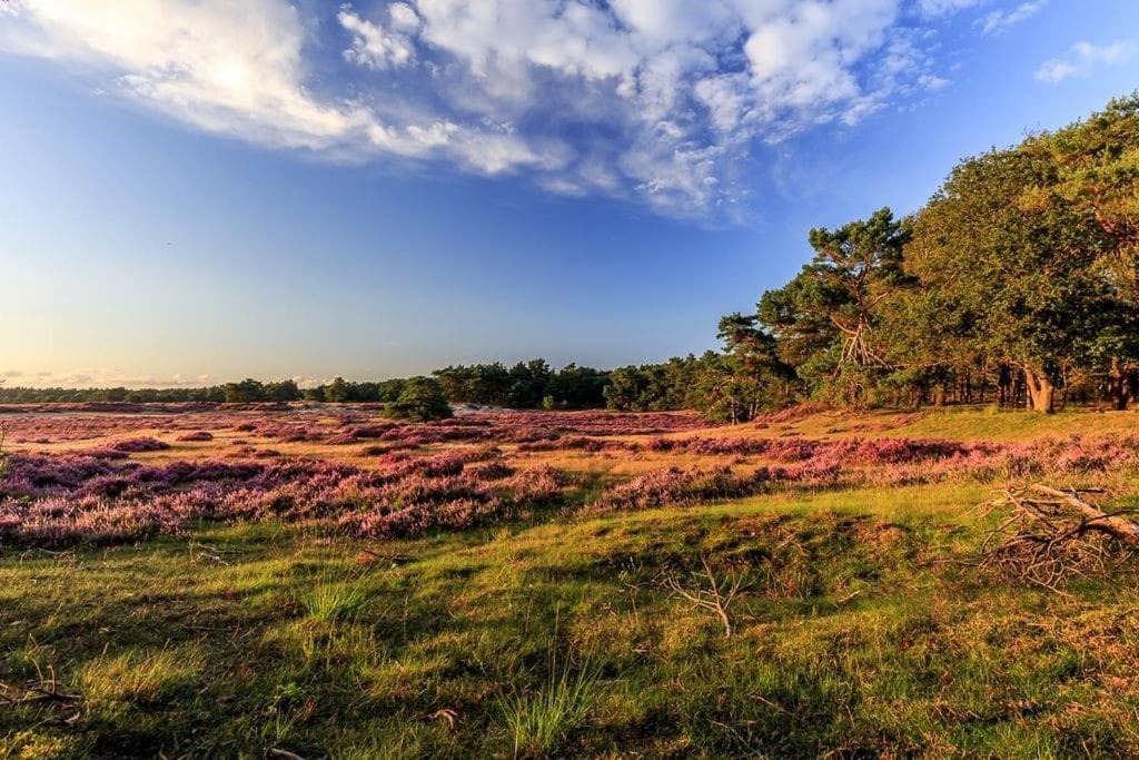 Veluwe Luxe Glamping In de natuur voor 6 personen LL94 view 4