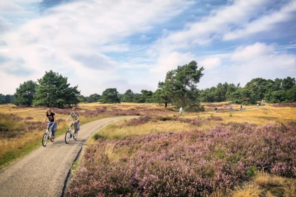 Veluwe Luxe Glamping In de natuur voor 6 personen LL94 view 3
