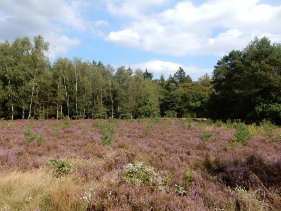 Veluwe Luxe Glamping In de natuur voor 6 personen LL94 view 2