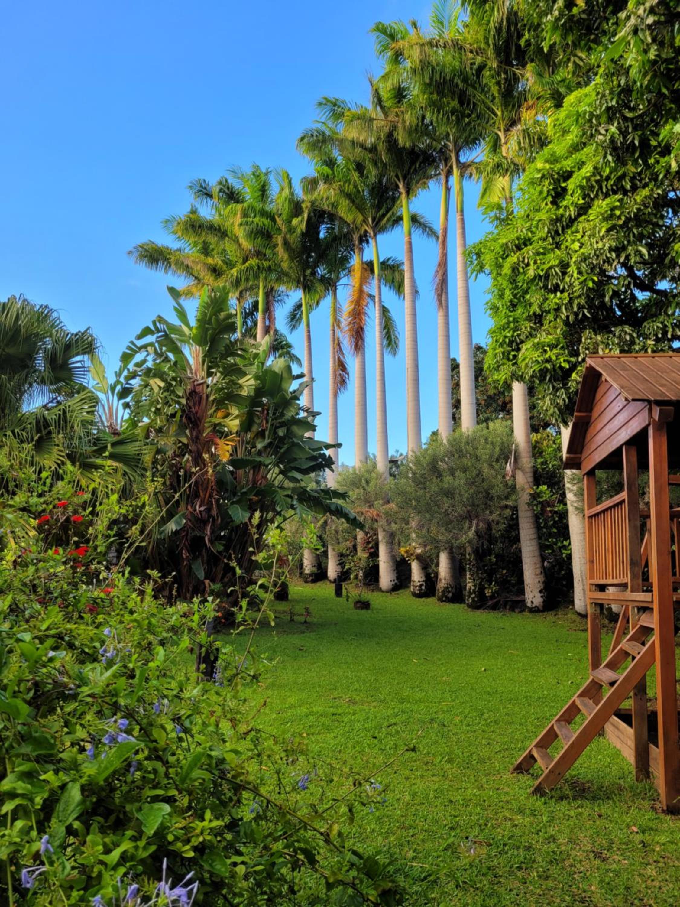 Villa Lyse