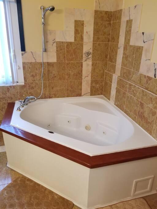 Beautiful 3 Bed 3 & a half Bath Home with Pool & Dock Slip