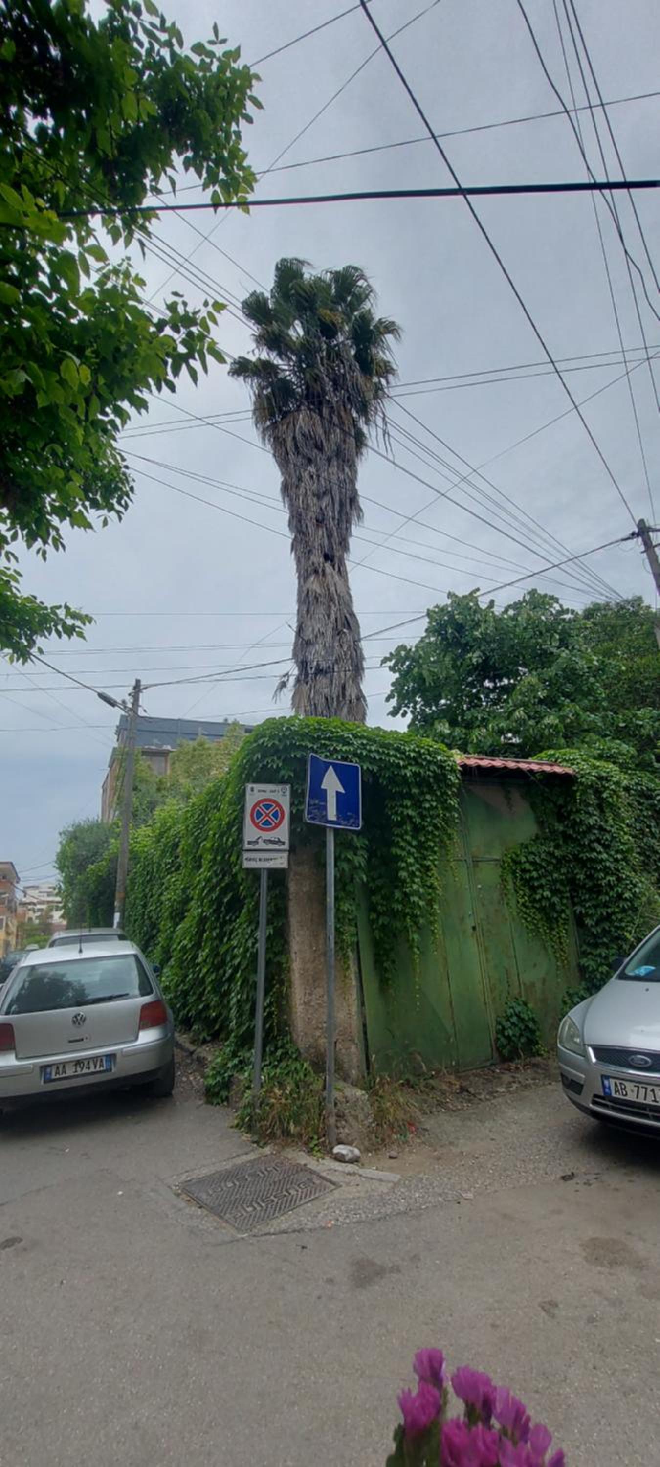 La Piccola Bellezza