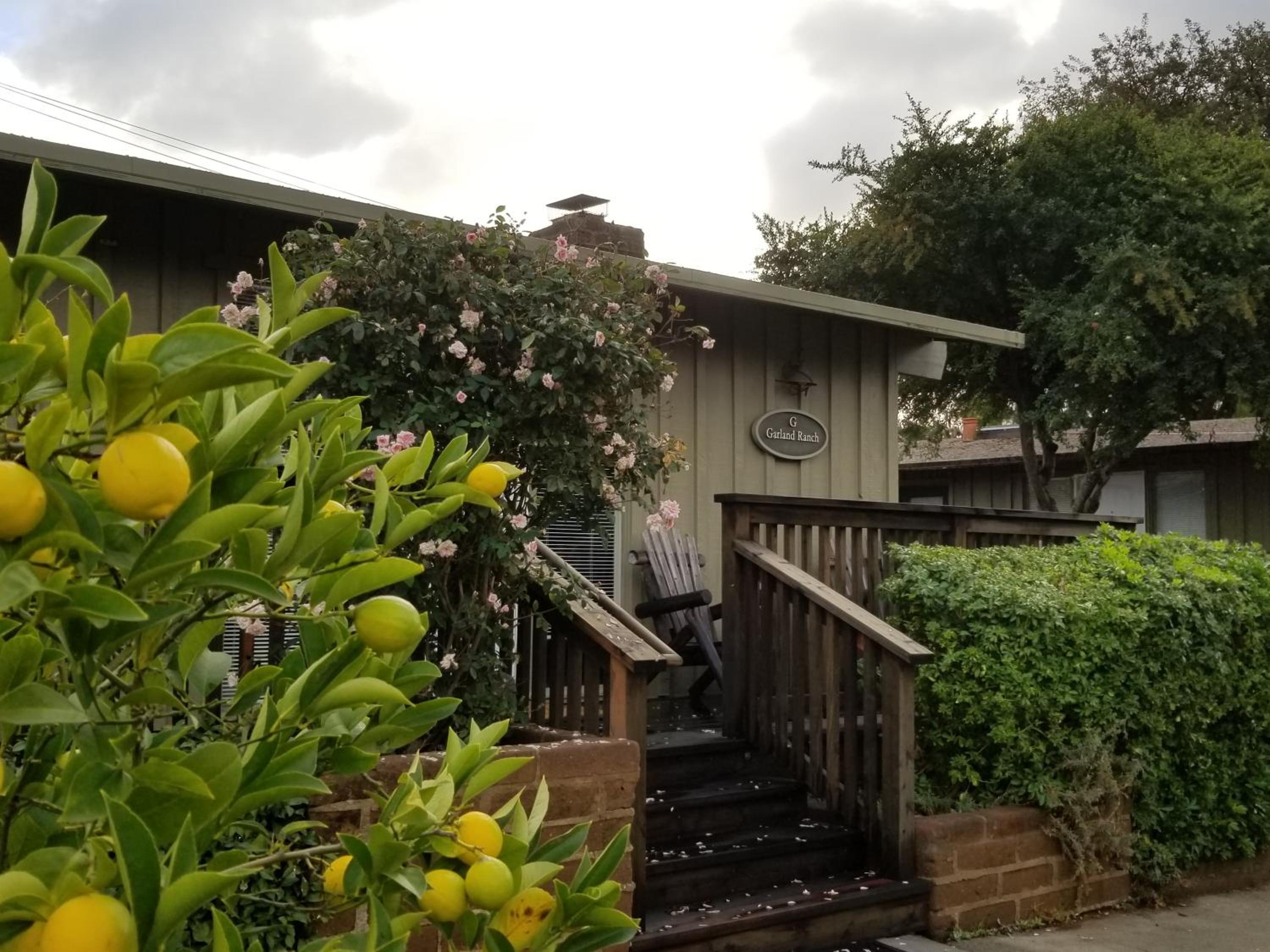 Hotel Carmel Valley Lodge