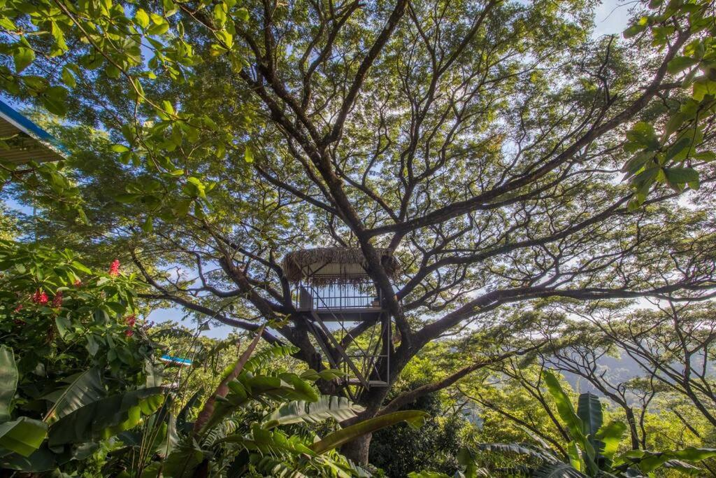 Ocean and Jungle views! AC, Wi-Fi, kitchen