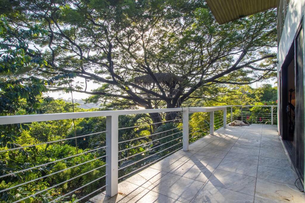 Ocean and Jungle views! AC, Wi-Fi, kitchen