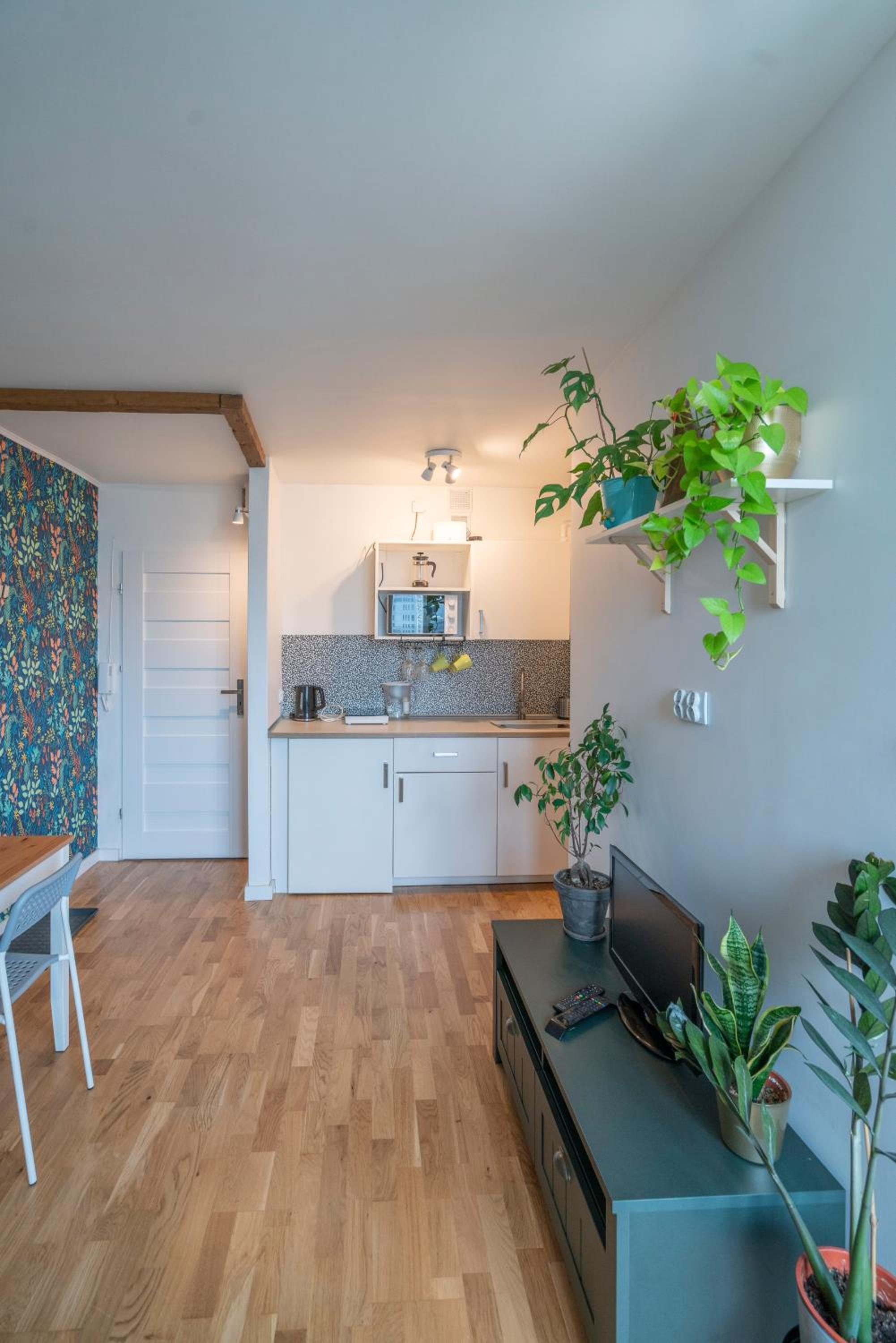 Green studio in the city center of Wroclaw, photo 6