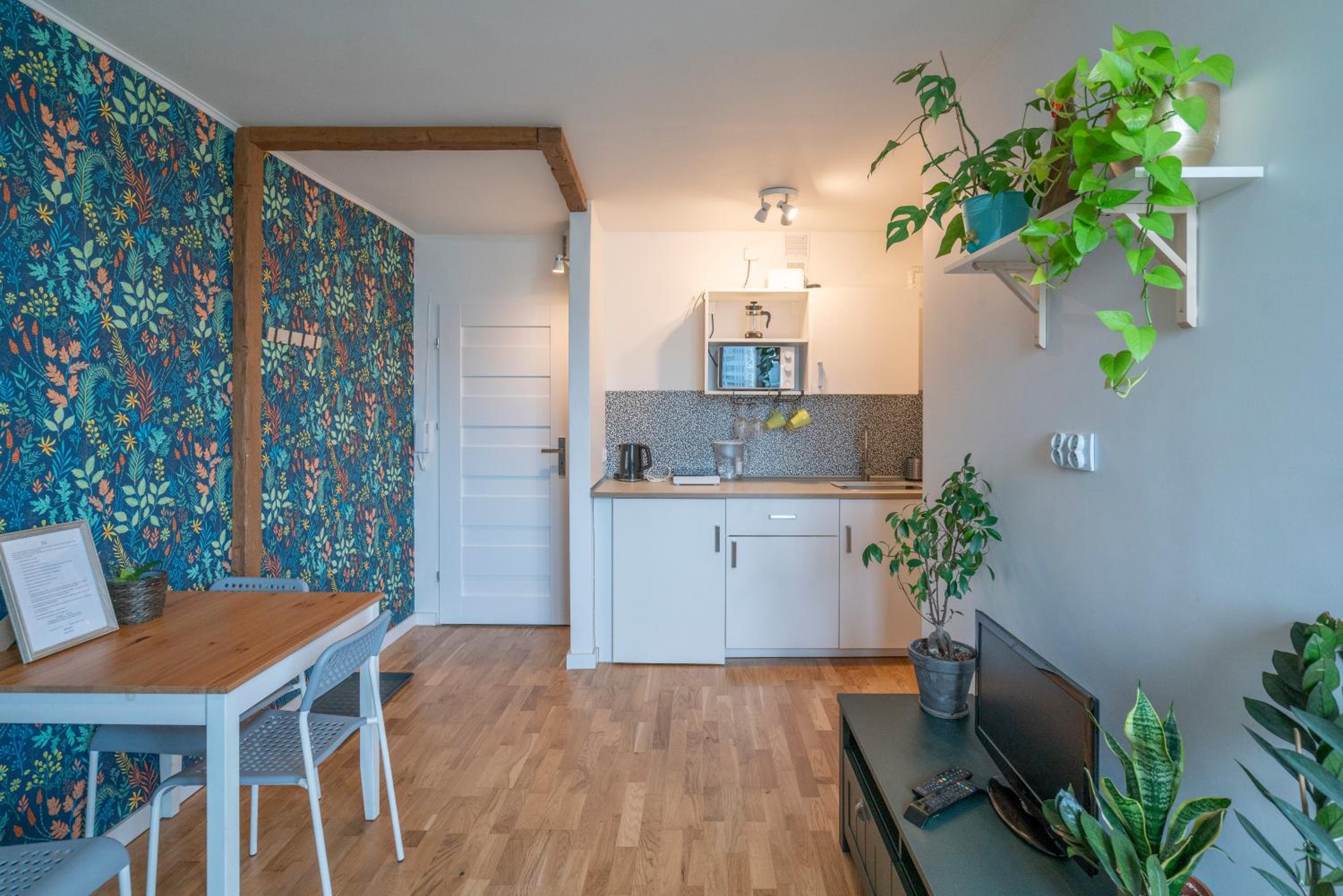 Green studio in the city center of Wroclaw, photo 11